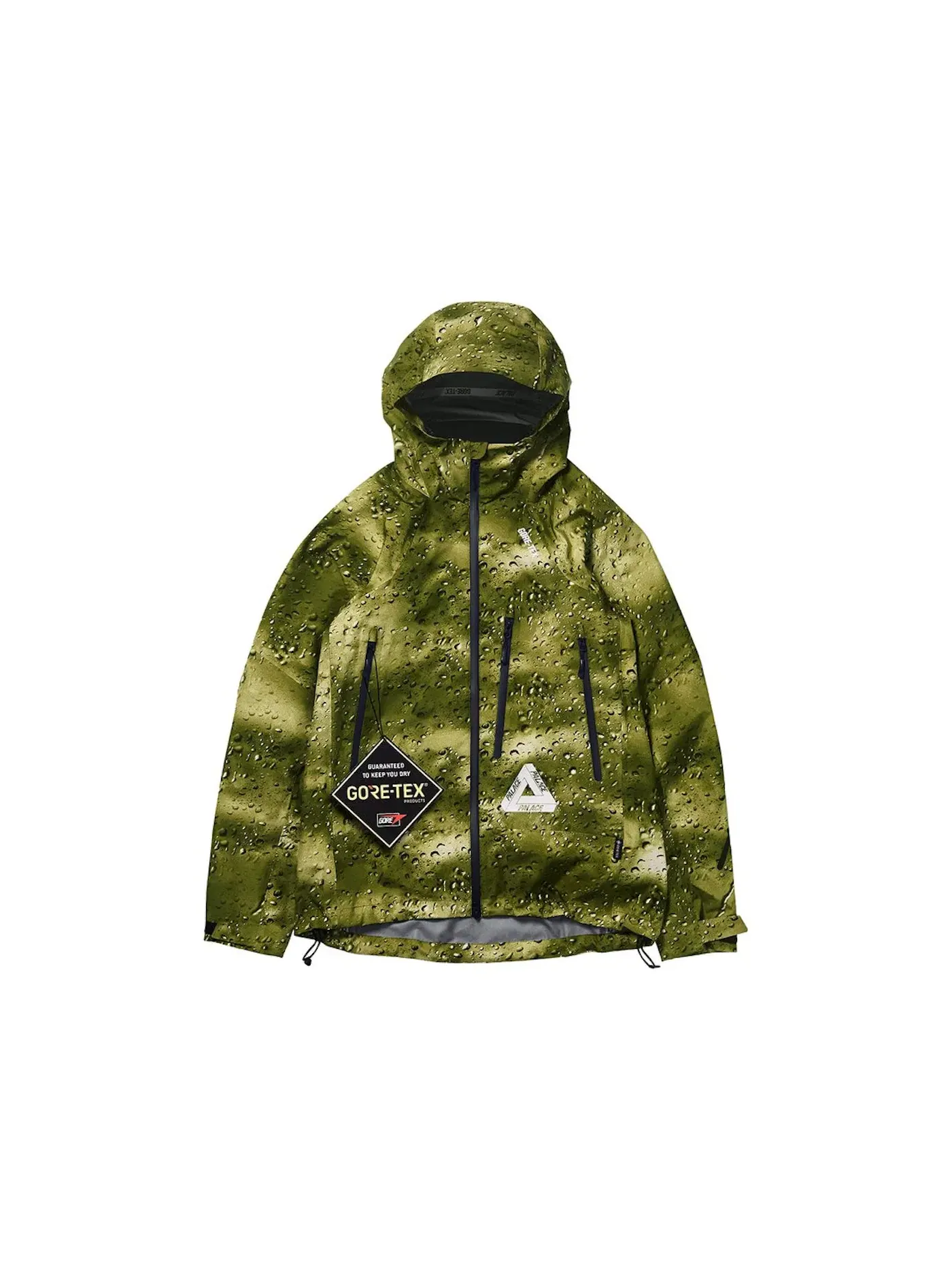 Мужская куртка GORE-TEX Palex Jacket Palace, Acid Rain — изображение 1 из 3