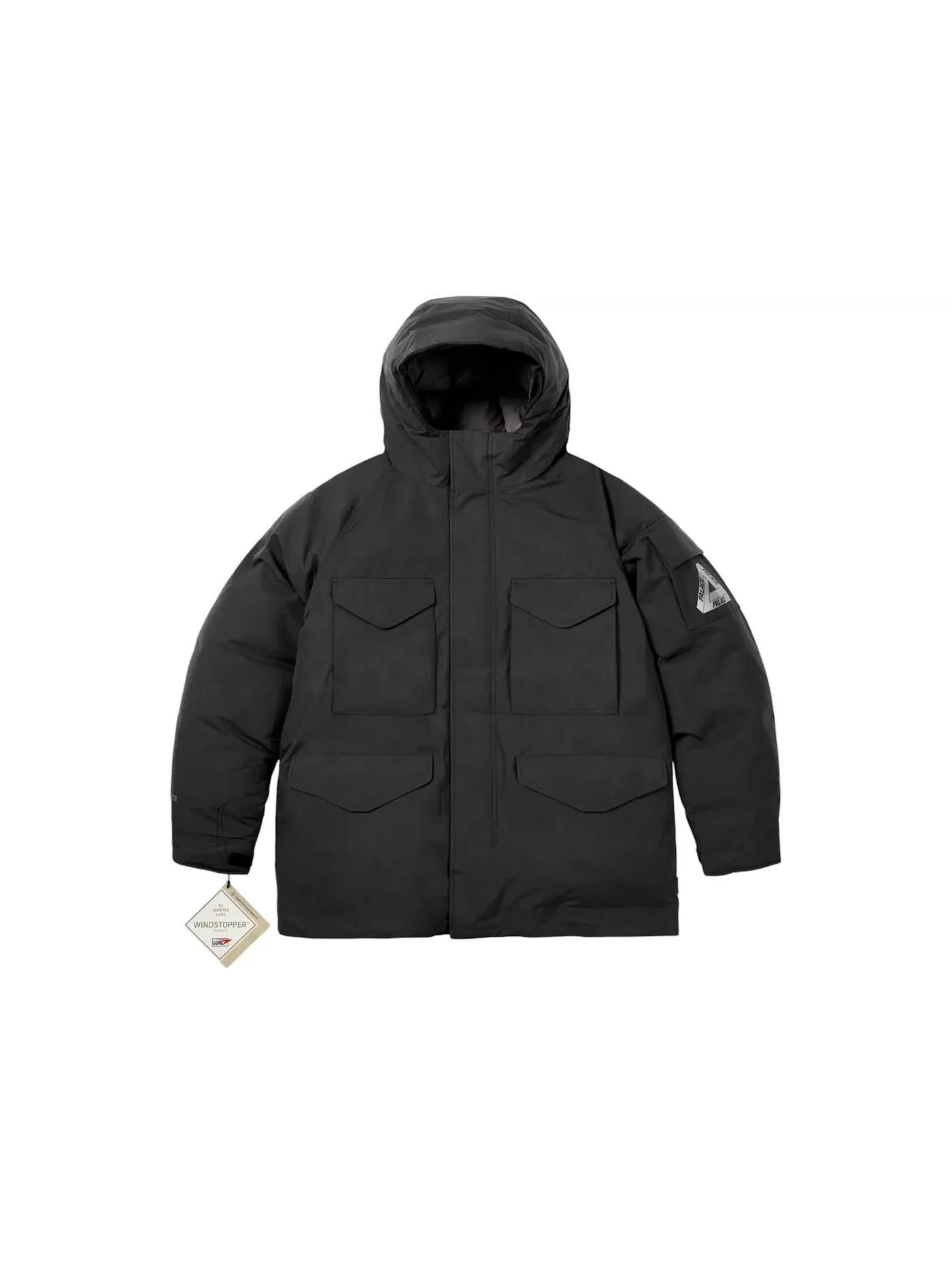 Мужская куртка-парка Palace Gore-Tex Windstopper Down Parka — изображение 1 из 2, черный