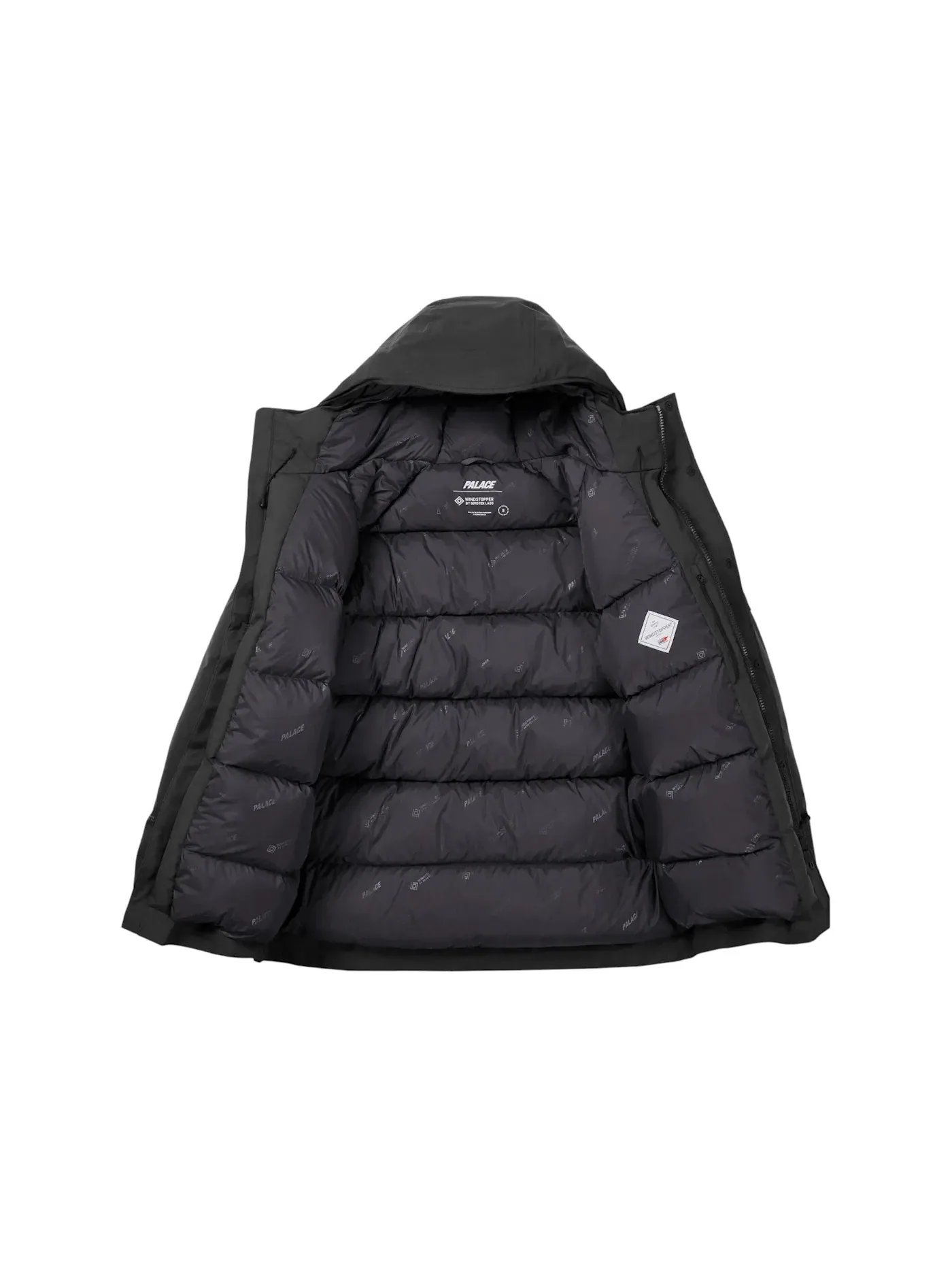 Мужская куртка-парка Palace Gore-Tex Windstopper Down Parka — изображение 2 из 2, черный
