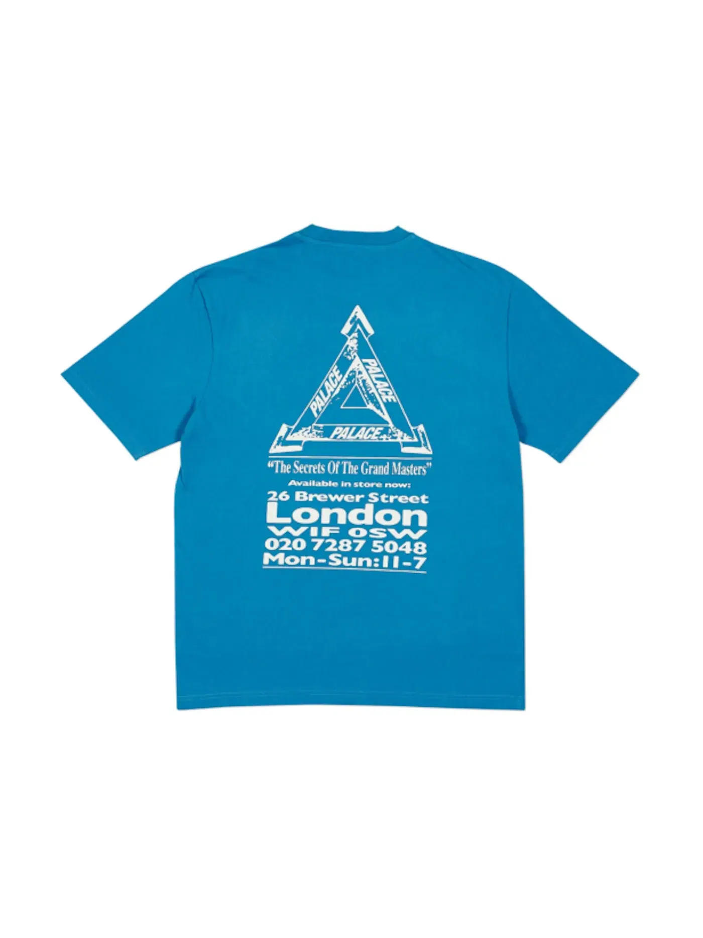 Мужская футболка Palace Grand Master T-Shirt — изображение 2 из 2, синий