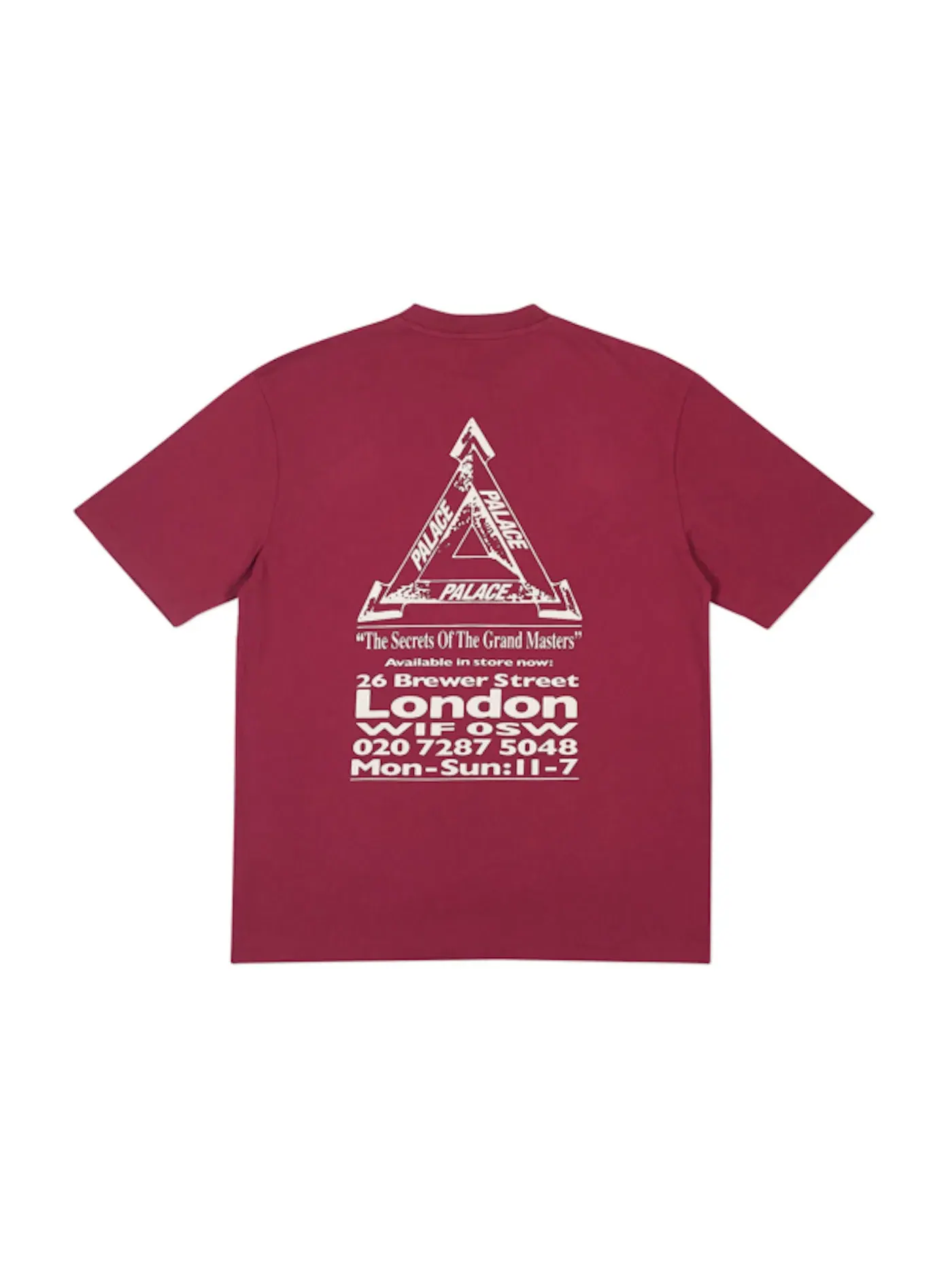 Мужская футболка с принтом Palace T-shirt — изображение 2 из 2, красный