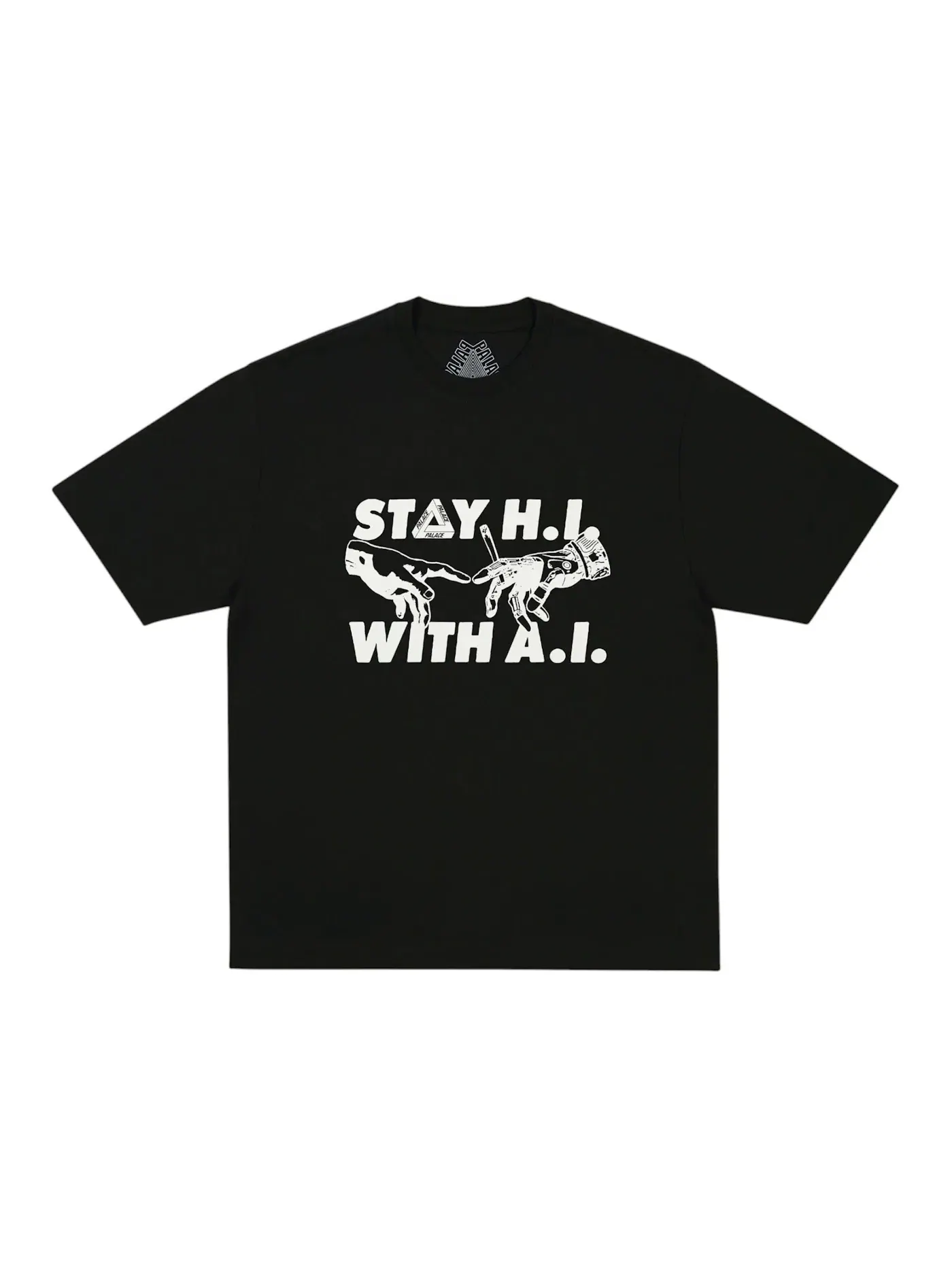 Мужская футболка с принтом Palace Indica T-Shirt — изображение 1 из 1, черный