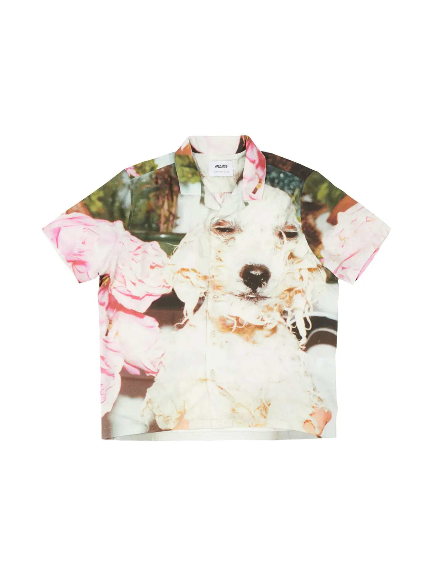 Мужская рубашка с принтом Palace Shirt — изображение 1 из 2, мульти