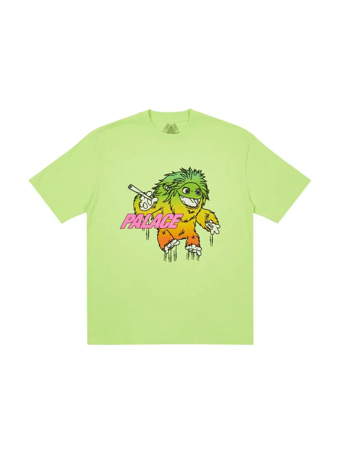 Мужская футболка с принтом Palace T-shirt (FW21) — изображение 1 из 1, зеленый
