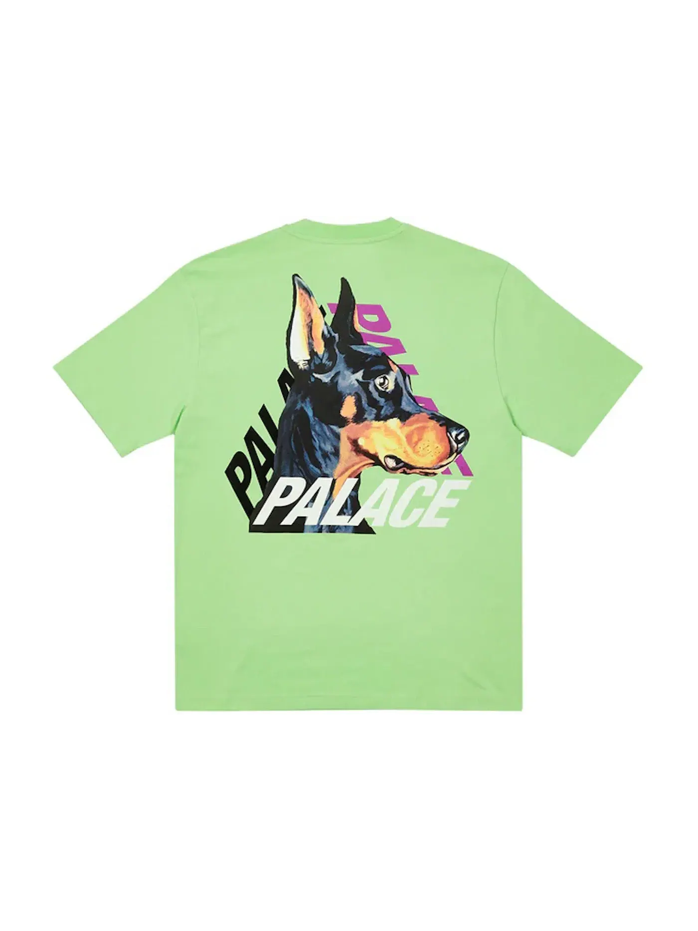 Мужская футболка с принтом Palace T-shirt — изображение 1 из 2, писташковый