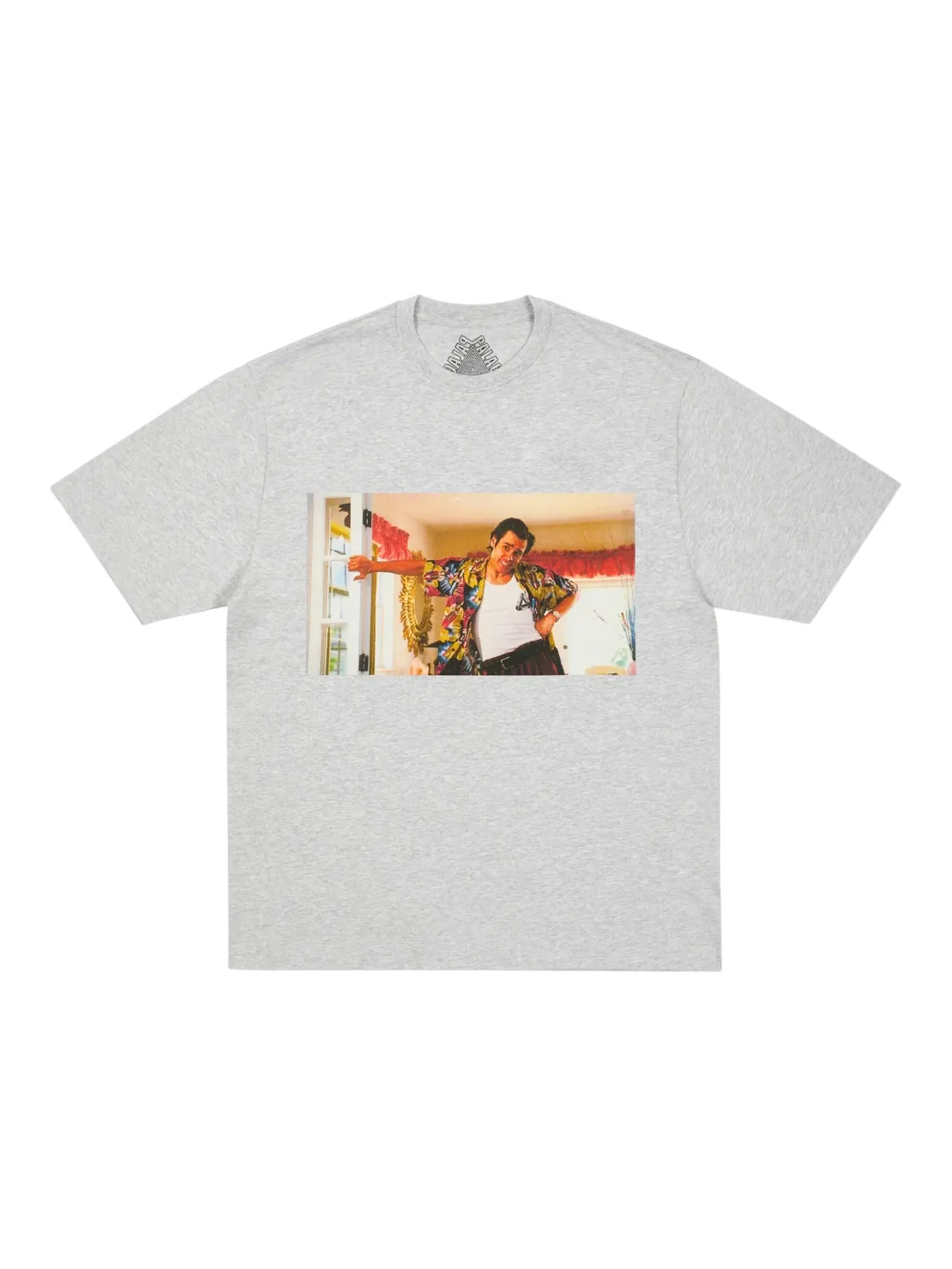 Мужская футболка с принтом Palace T-shirt — изображение 1 из 1, серый