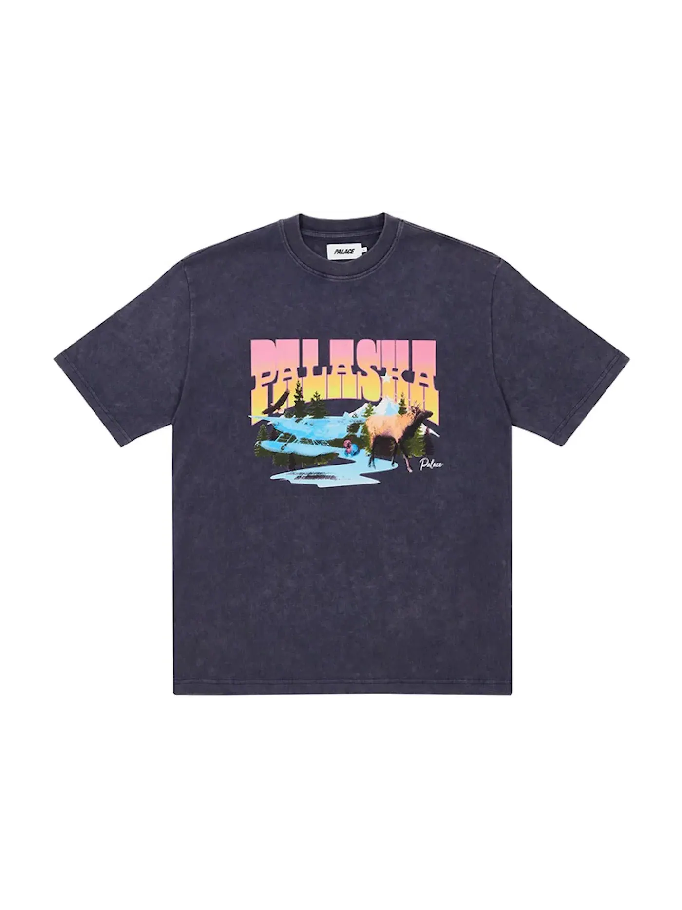 Мужская футболка с принтом Palace Palaska Dye T-shirt — изображение 1 из 1, фиолетовый