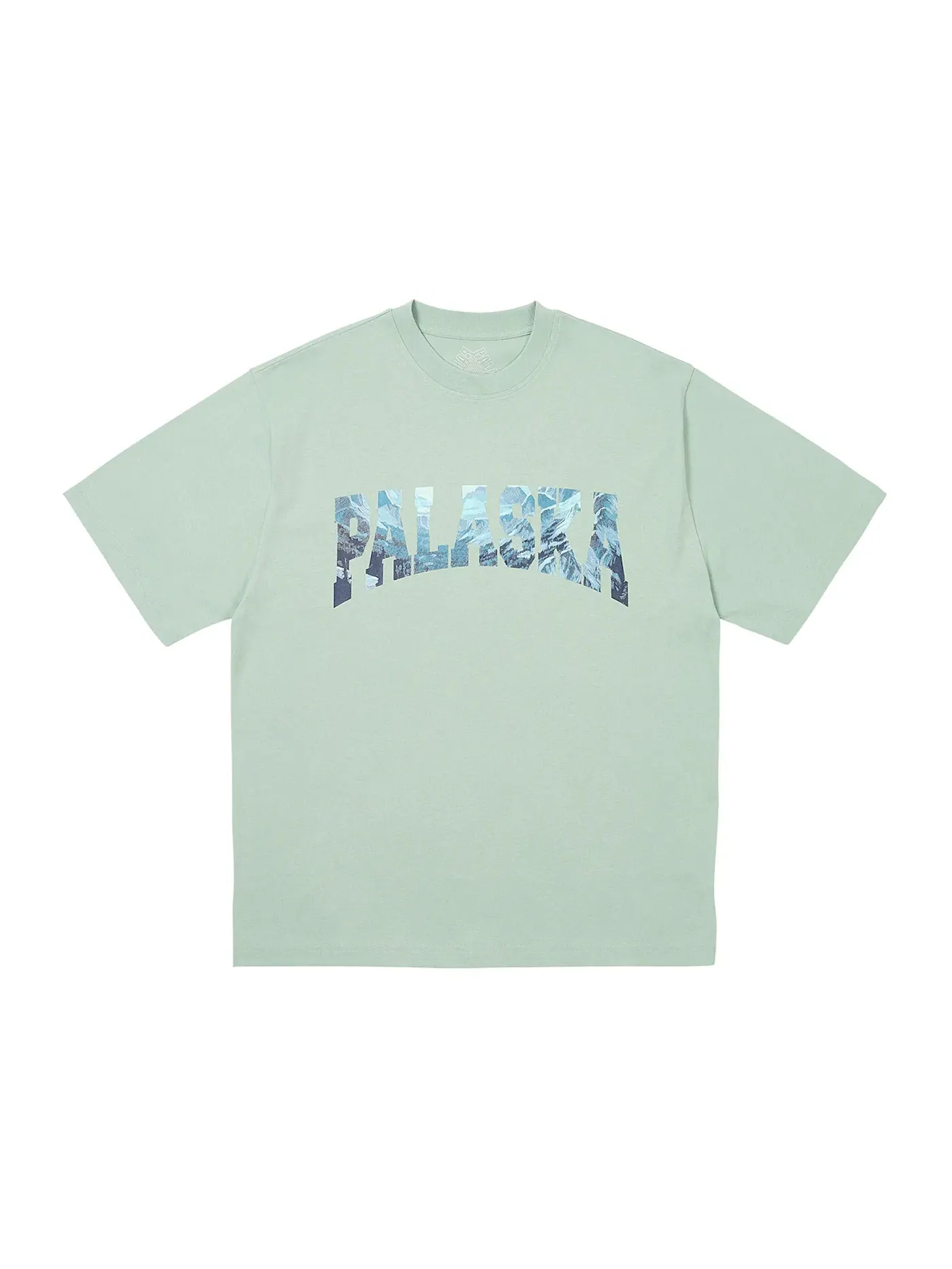 Мужская футболка с коротким рукавом Palace T-Shirt (FW24) — изображение 1 из 1, зеленый