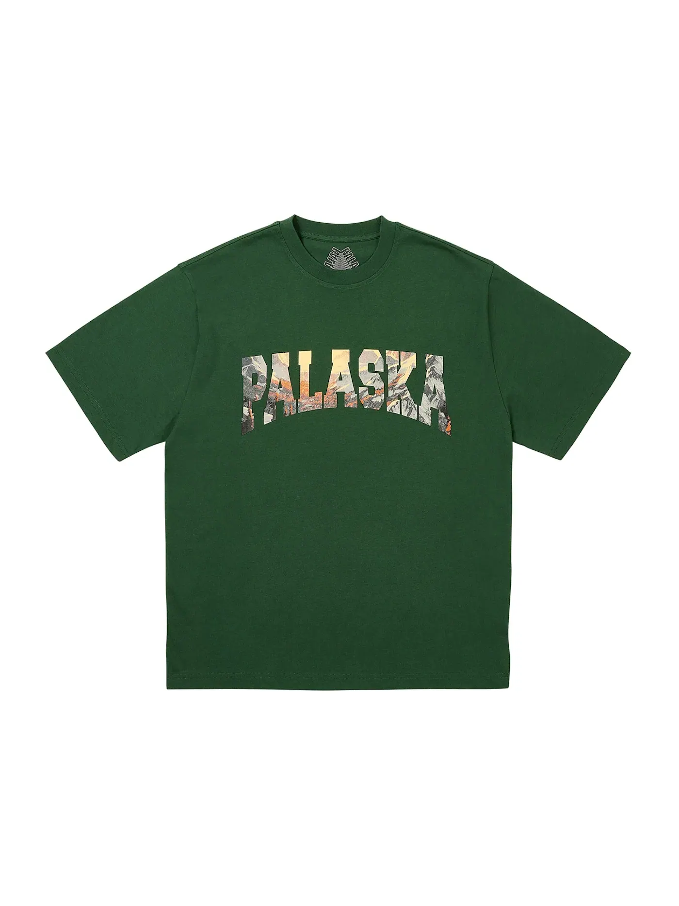Мужская футболка с принтом Palace Palaska T-Shirt (FW24) — изображение 1 из 1, зеленый