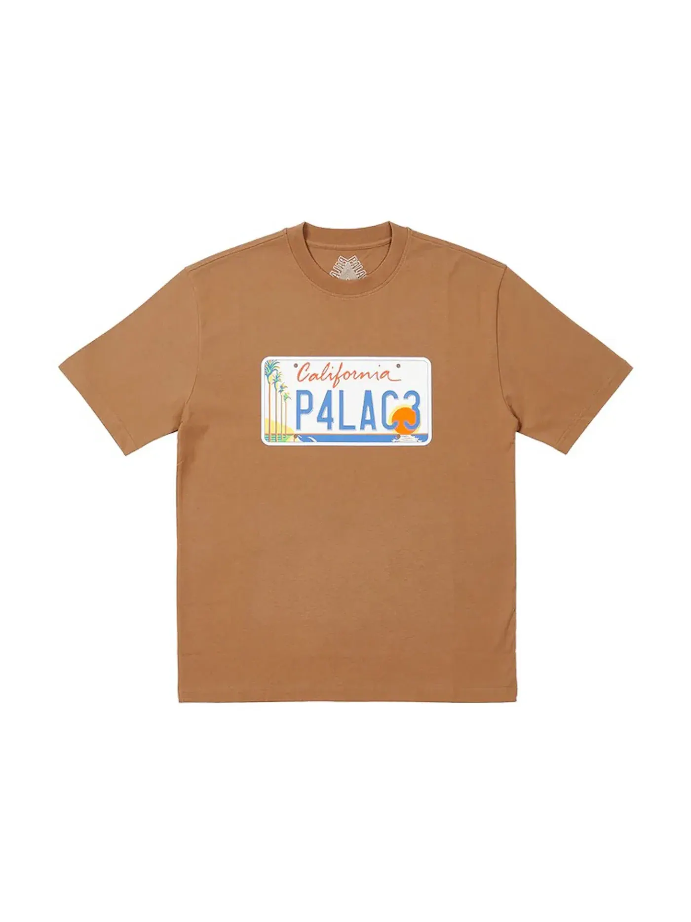 Мужская футболка с принтом Palace T-shirt — изображение 1 из 1, коричневый