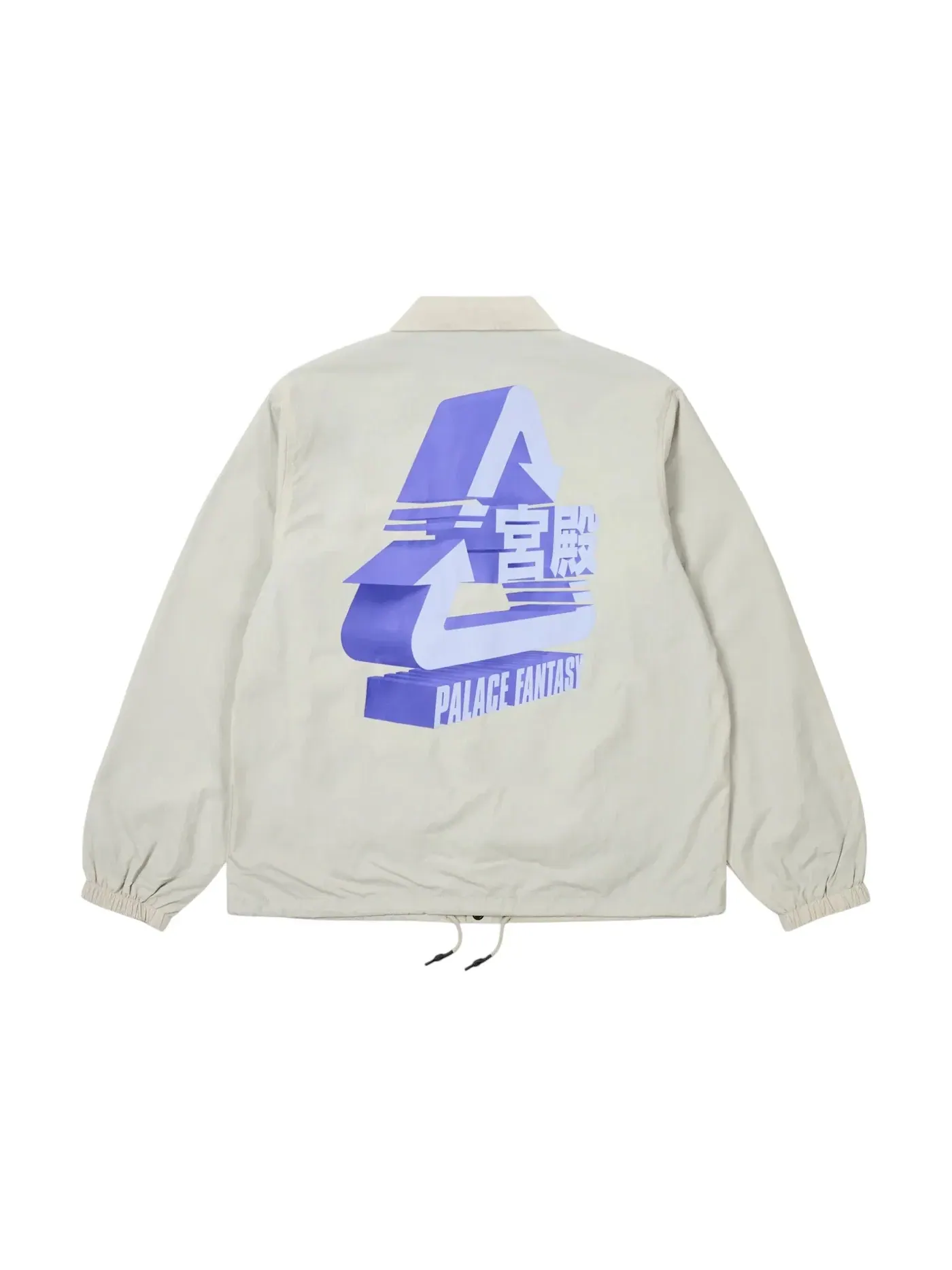 Мужская куртка с принтом Palace Sci-Fi Fantasy Tri Coach Jacket — изображение 3 из 3, серый