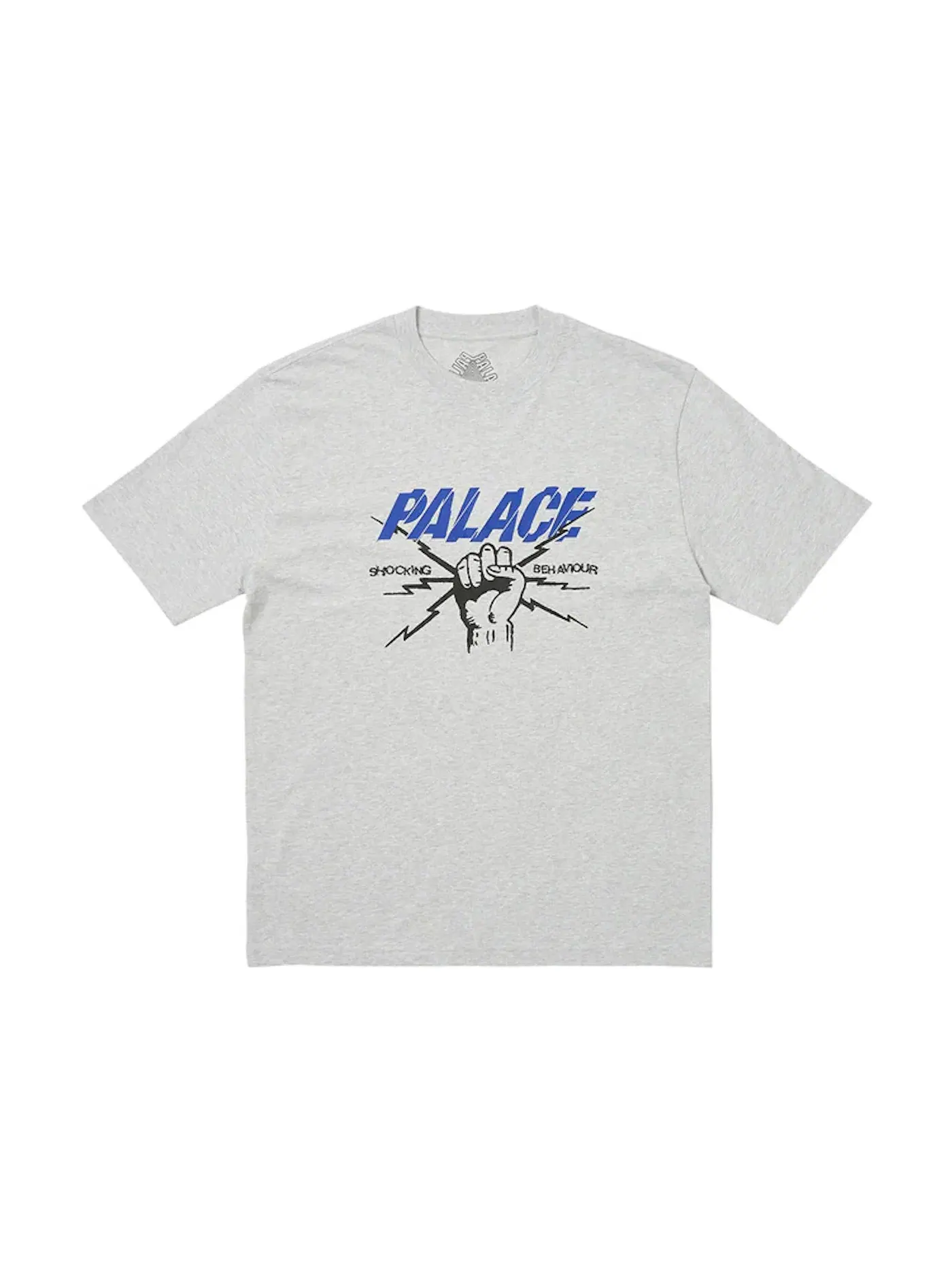 Мужская футболка с принтом Palace Shocking Behaviour Palace — изображение 1 из 1, серый