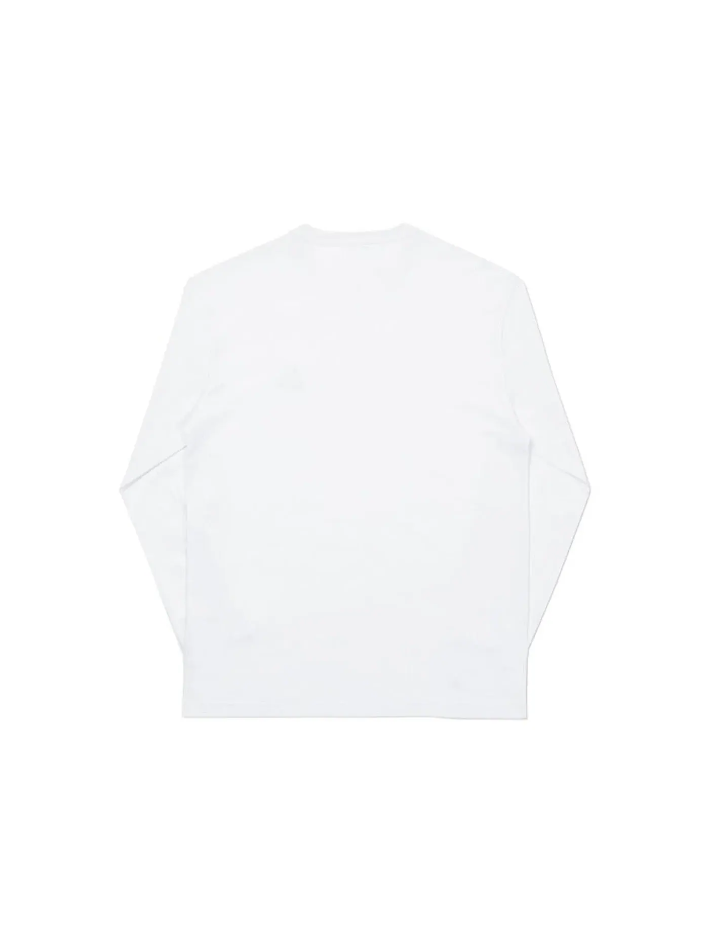 Мужской лонгслив с длинным рукавом Palace Longsleeve (FW20) — изображение 2 из 2, белый