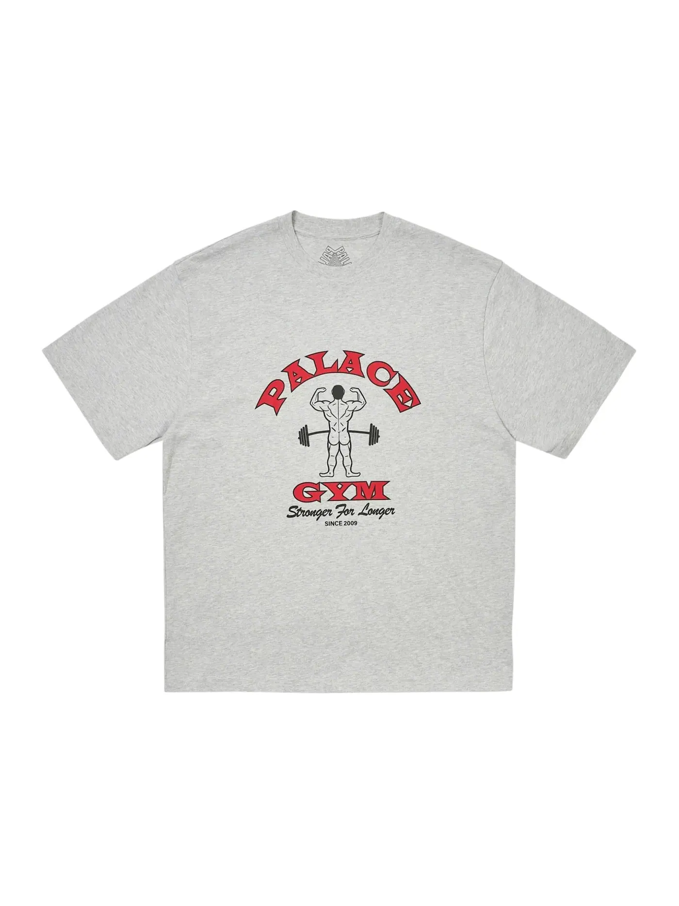 Мужская футболка с принтом Palace Stronger For Longer T-Shirt — изображение 1 из 1, серый