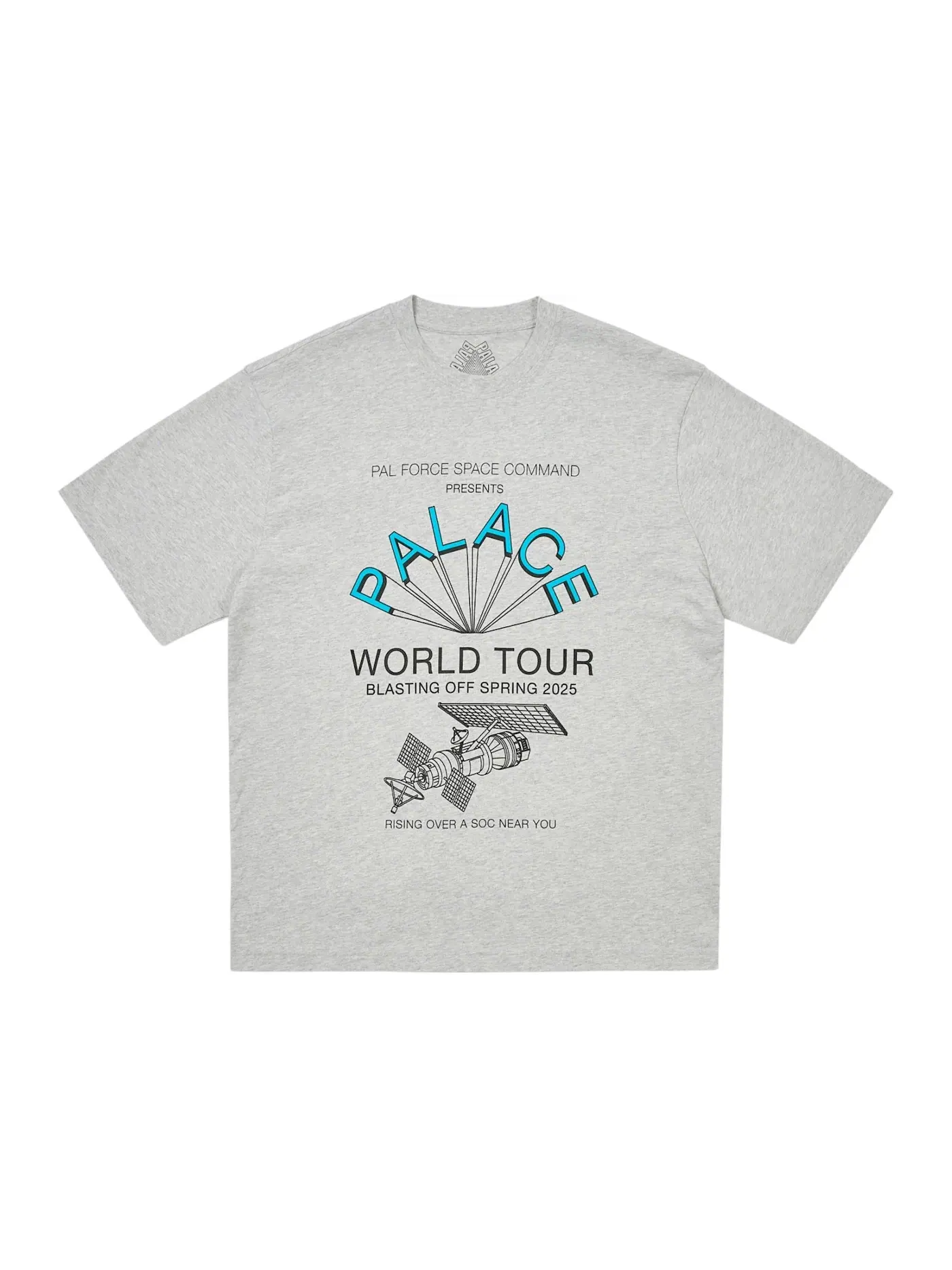 Мужская футболка с принтом Palace World Tour T-Shirt (SS25) — изображение 1 из 2, серый