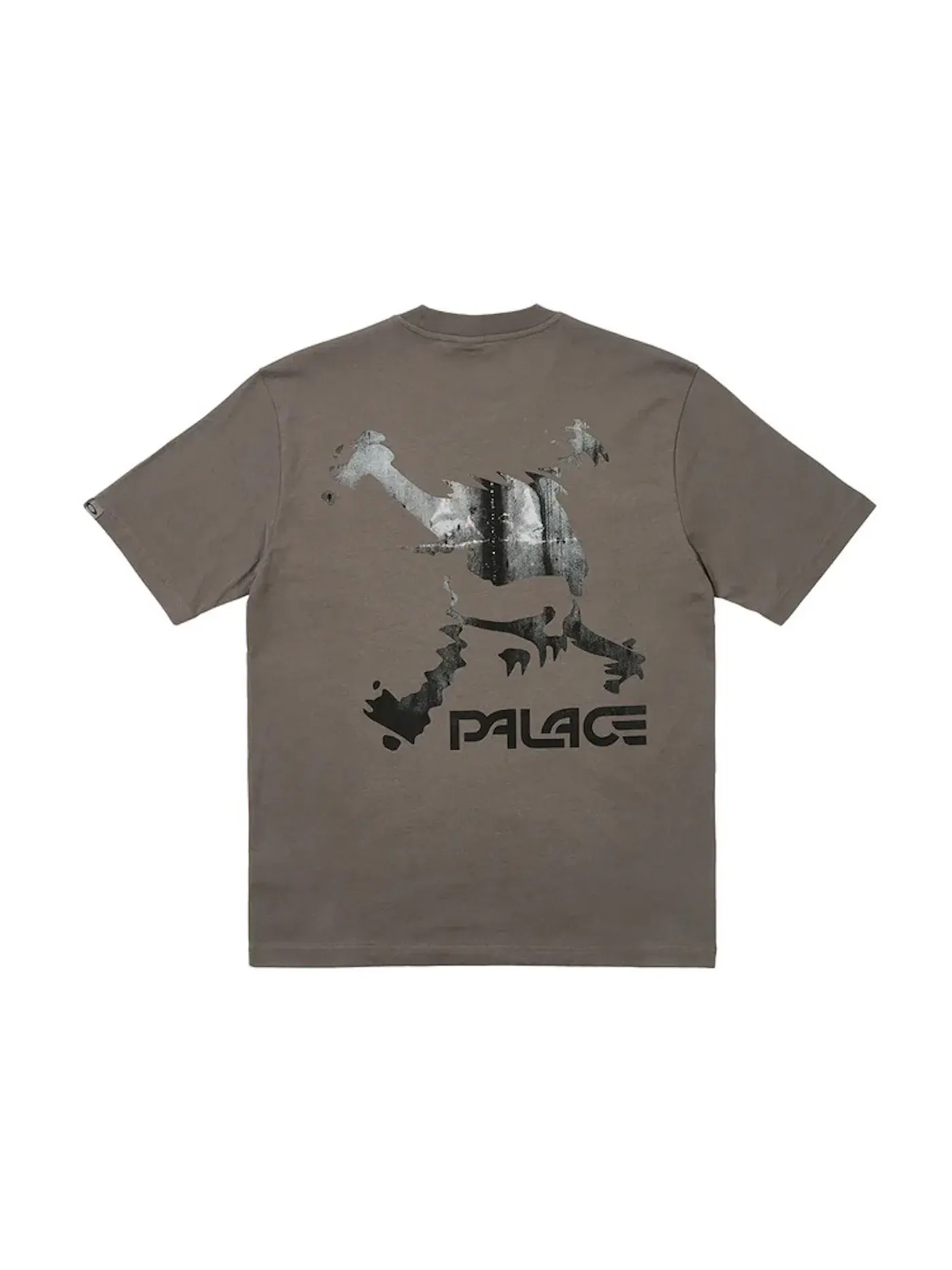 Мужская футболка с принтом Palace x Oakley T-Shirt — изображение 1 из 2, серый