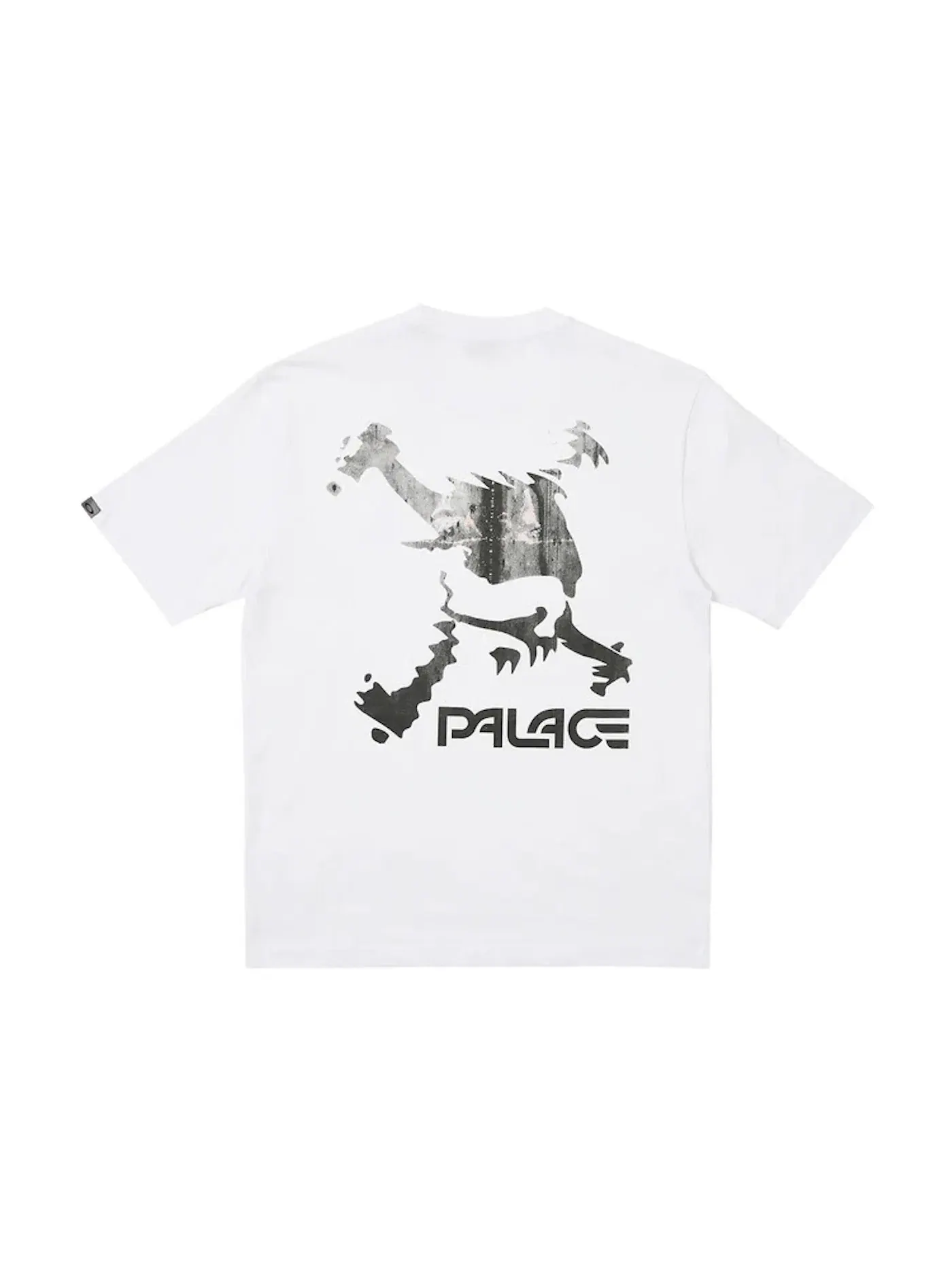 Мужская футболка с принтом Palace x Oakley T-Shirt — изображение 1 из 2, белый