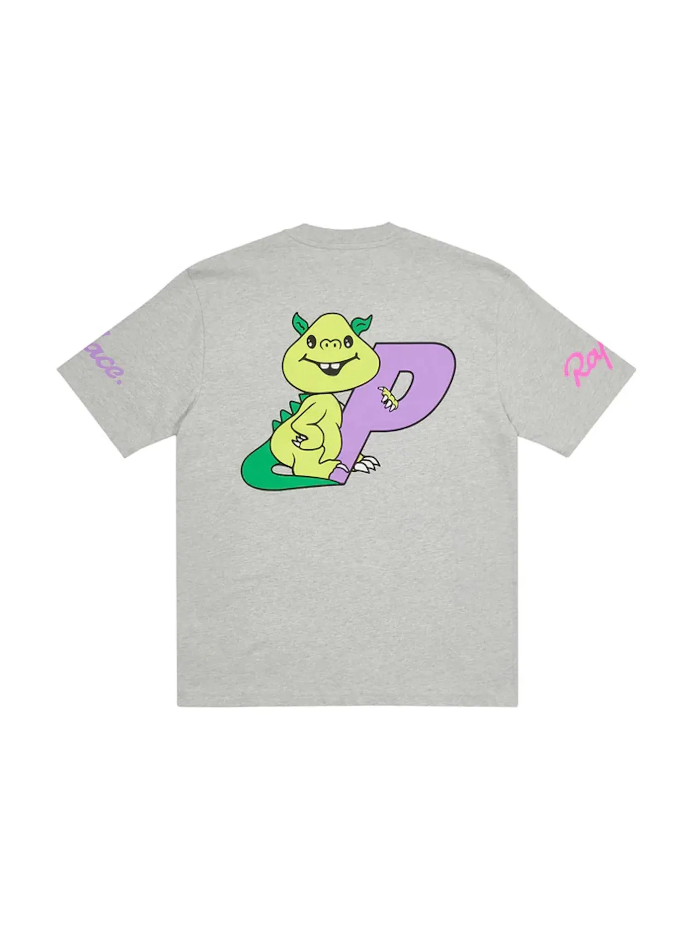 Мужская футболка с принтом Palace x Rapha EF Education First T-shirt — изображение 1 из 2, серый