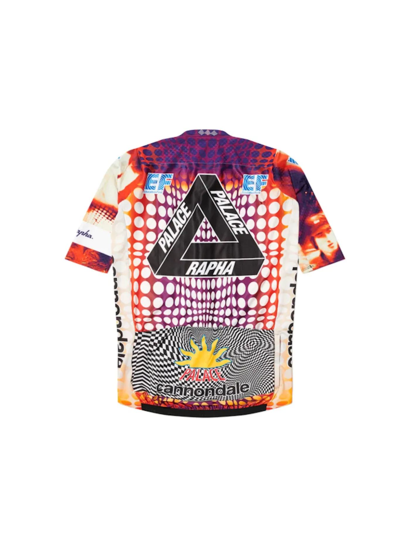 Мужская велосипедная джерси Aero Jersey Palace — изображение 2 из 2, мульти