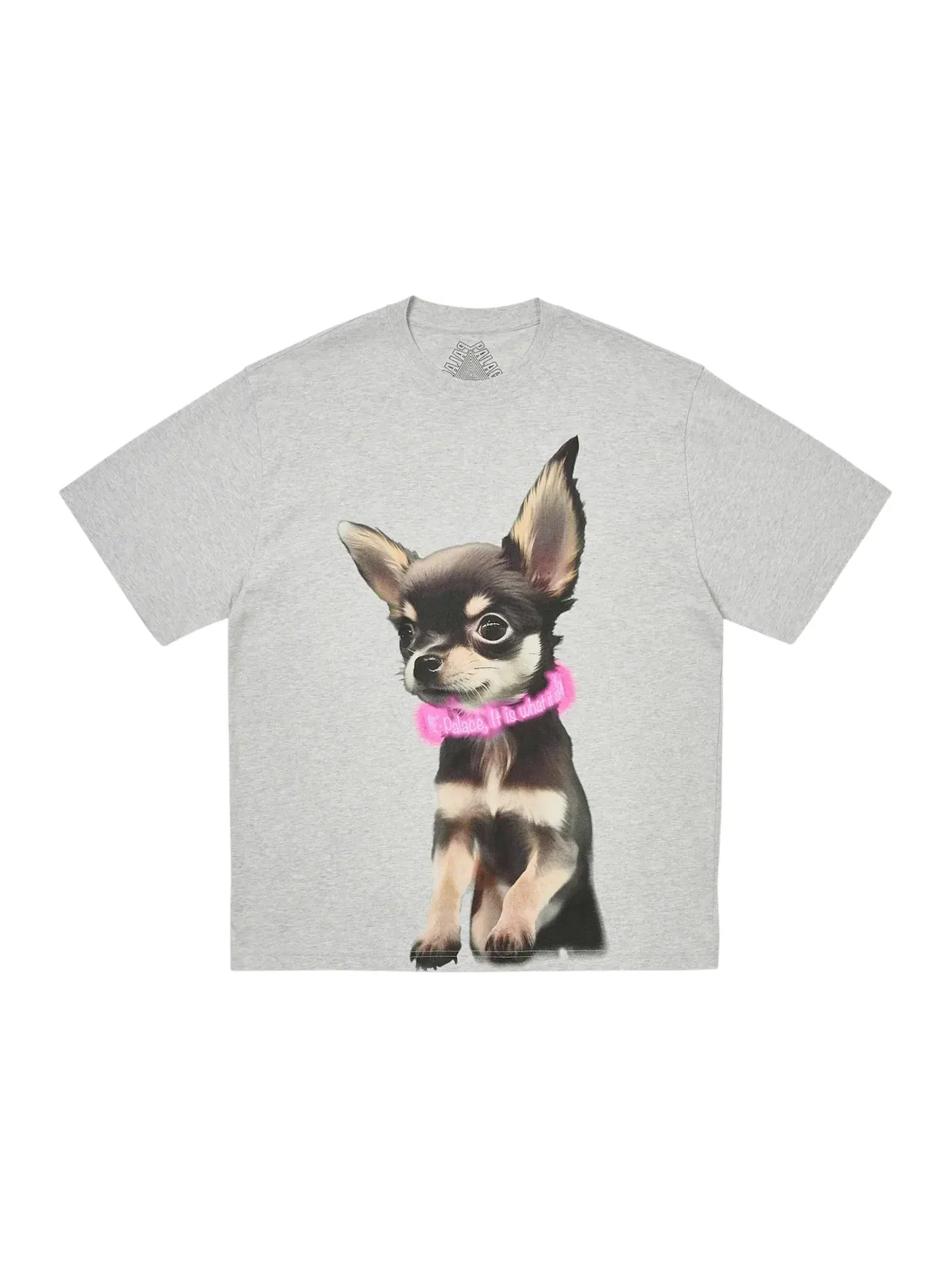 Мужская футболка с принтом Palace T-Shirt — изображение 1 из 1, серый