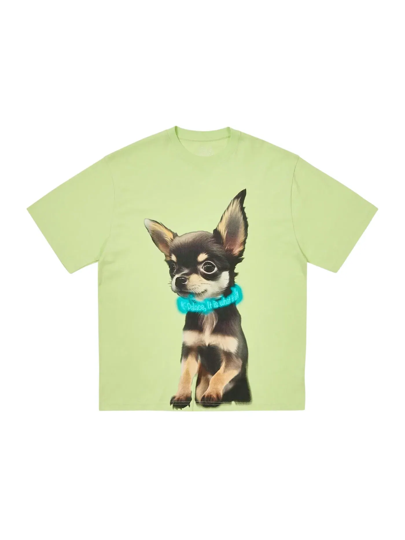 Мужская футболка с принтом Palace T-Shirt, Mojito — изображение 1 из 1