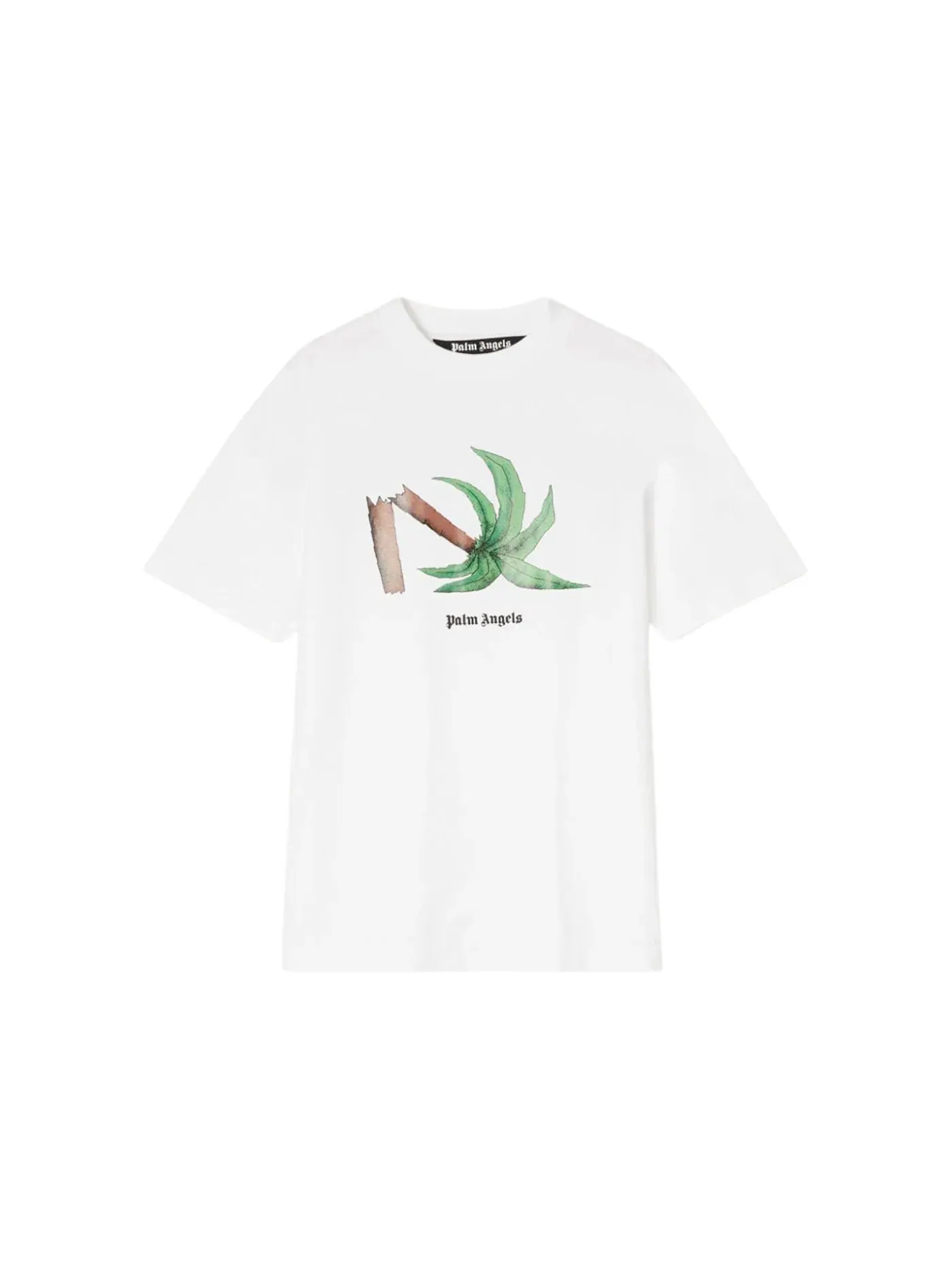 Мужская футболка с принтом Broken Palm Classic Palm Angels — изображение 1 из 1, белый/зеленый