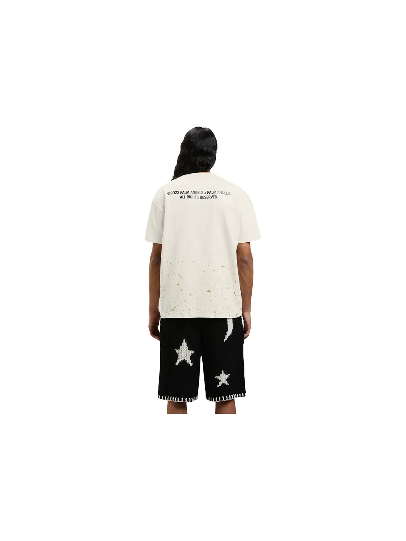 Мужская футболка с принтом Palm Angels Pxp Painted Classic T-Shirt — изображение 2 из 2, черный