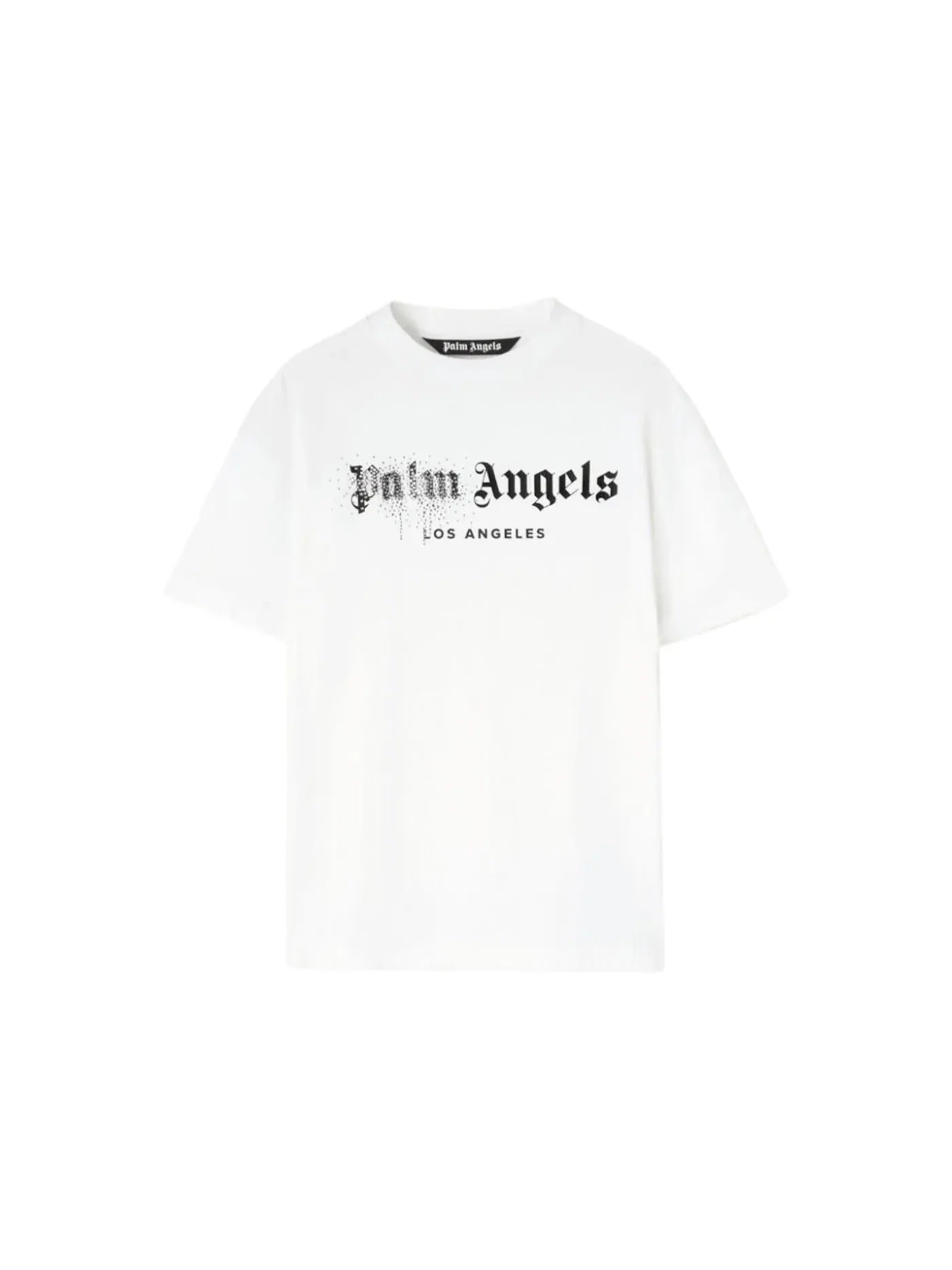 Мужская футболка с принтом T-Shirt Palm Angels — изображение 1 из 1, белый/черный