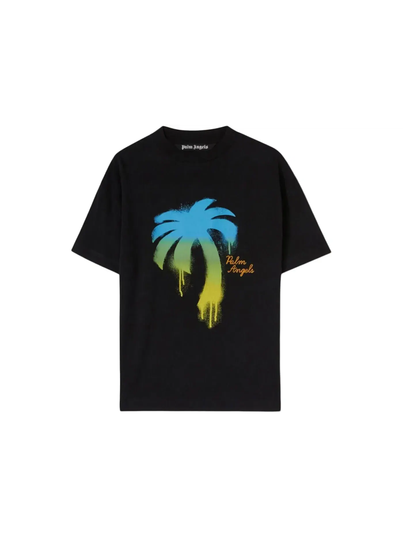 Мужская футболка с принтом Palm Angels T-Shirt — изображение 1 из 1, черный/зеленый