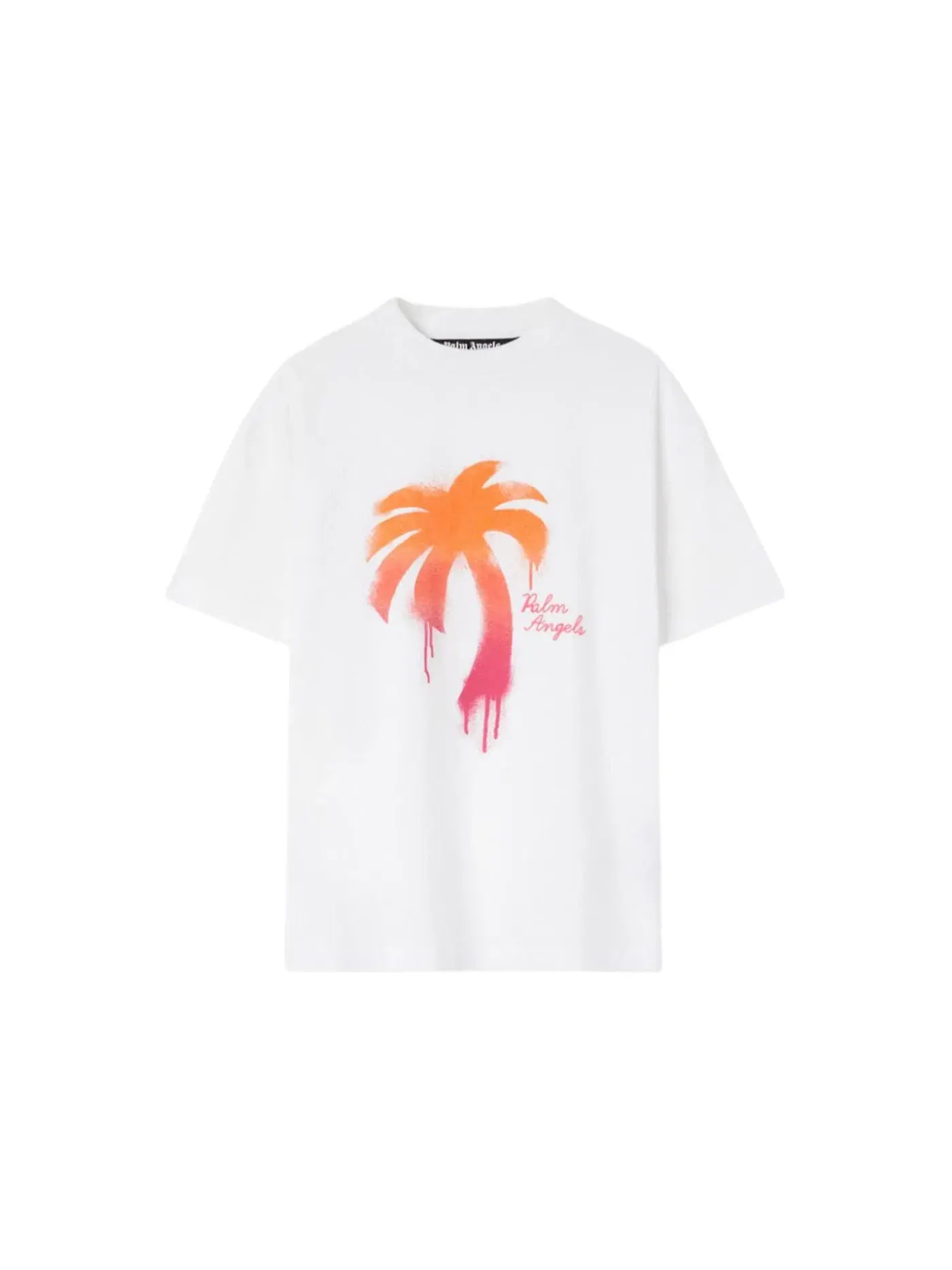 Мужская футболка с принтом Palm Angels T-Shirt — изображение 1 из 1, белый
