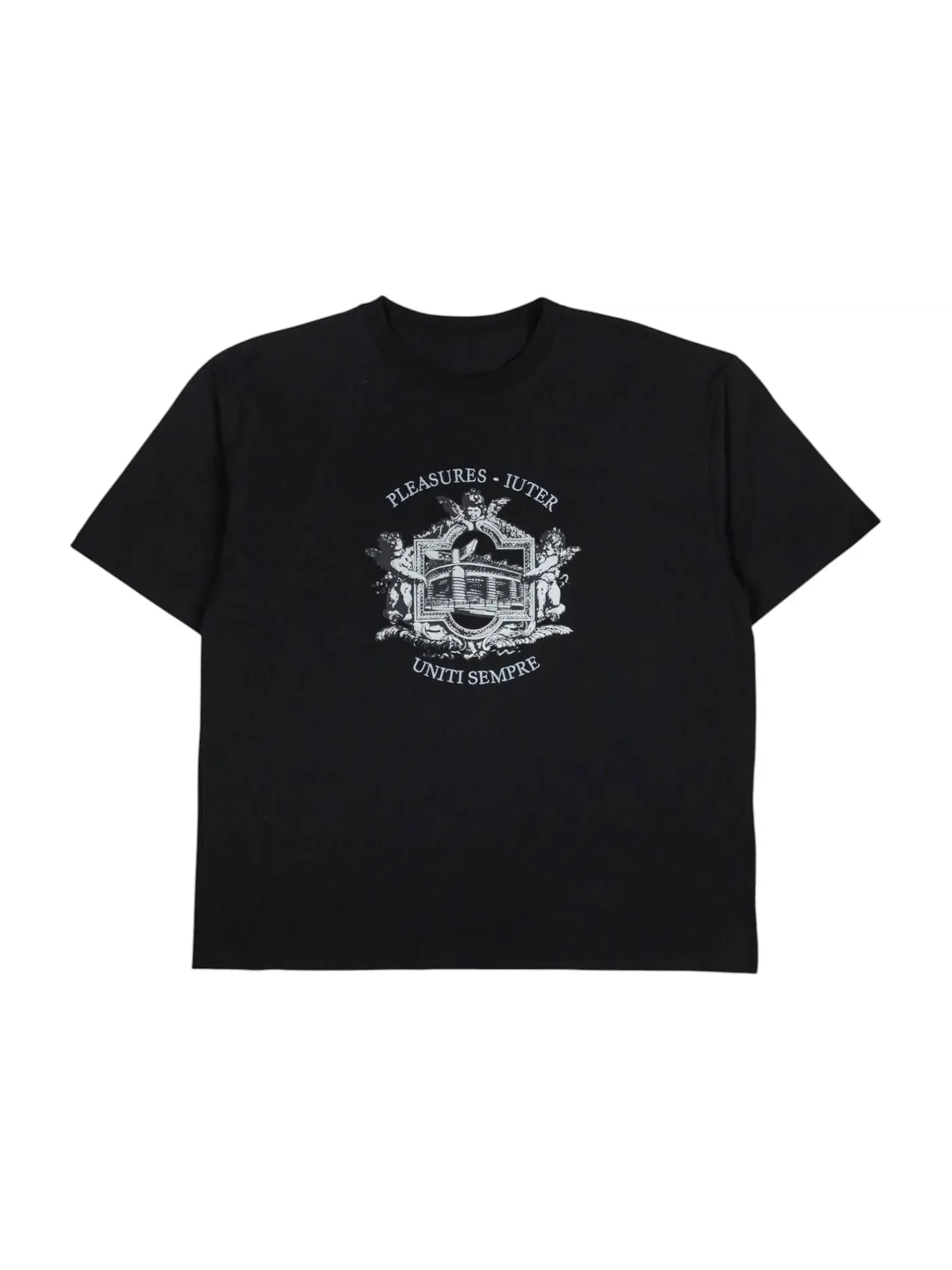 Мужская футболка с принтом Pleasures T-Shirt — изображение 1 из 1, черный