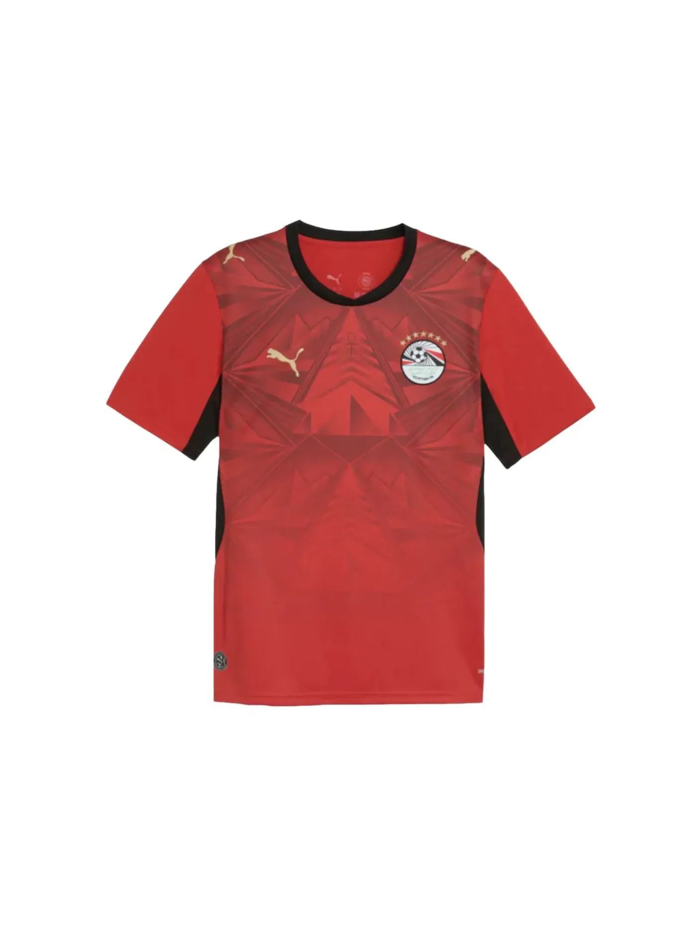 Мужская футбольная джерси Puma Jersey Puma Puma Red-Intense Red — изображение 1 из 2