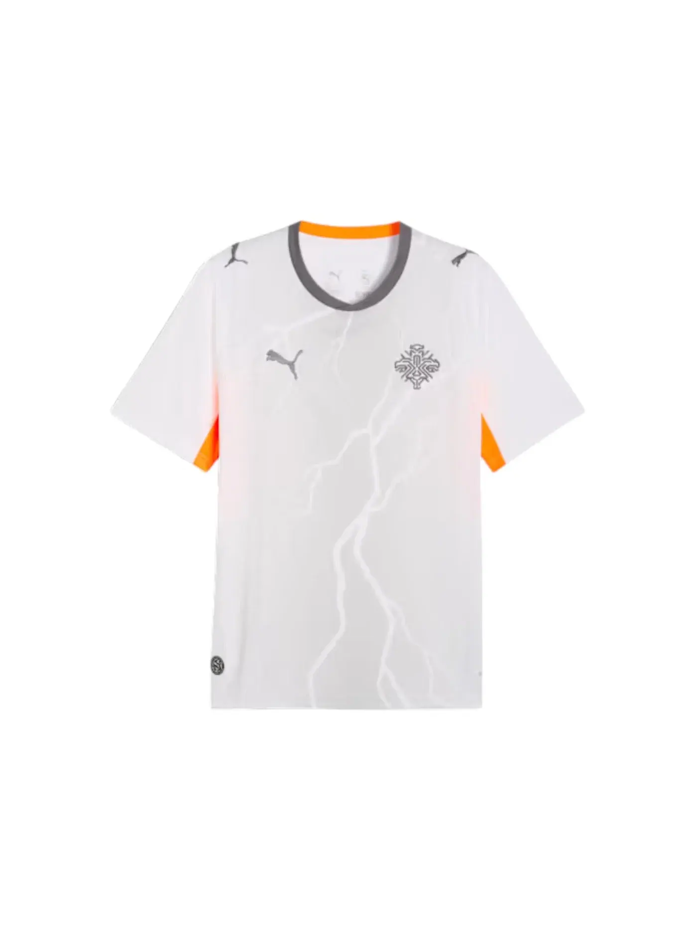 Мужская футбольная джерси с длинным рукавом Jersey Puma Puma White/Cool Dark Gray — изображение 1 из 1