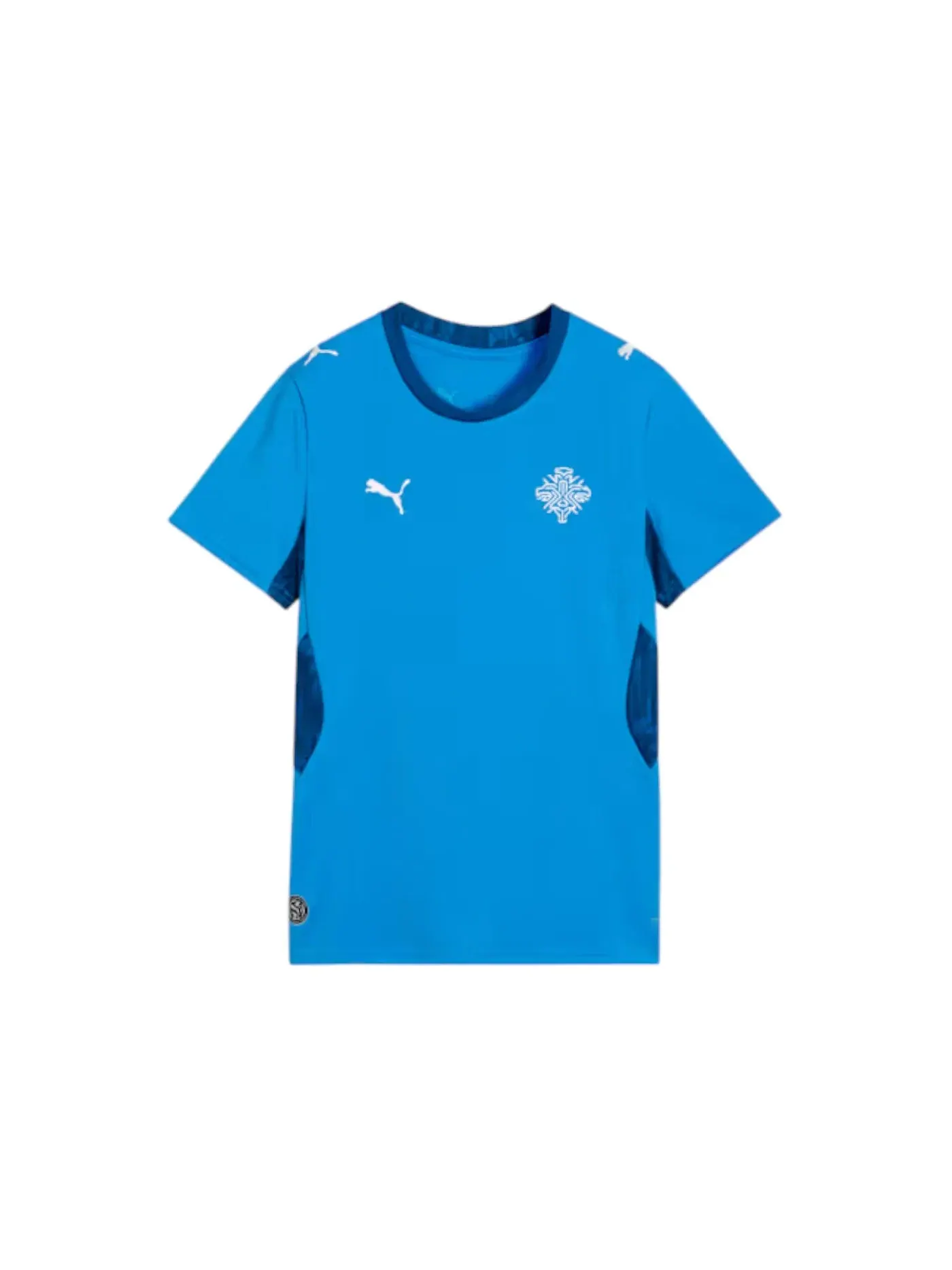 Женская футбольная джерси Puma Iceland Home — изображение 1 из 1, белый