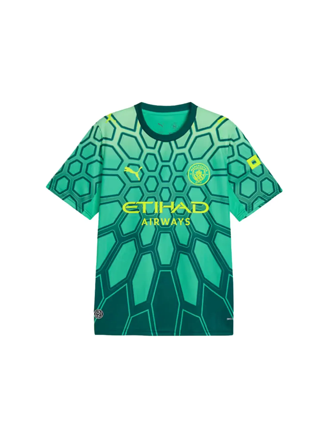 Мужская футболка с длинным рукавом Puma Manchester City 26/27 Home Goalkeeper Jersey — изображение 1 из 2, зеленый/зеленый