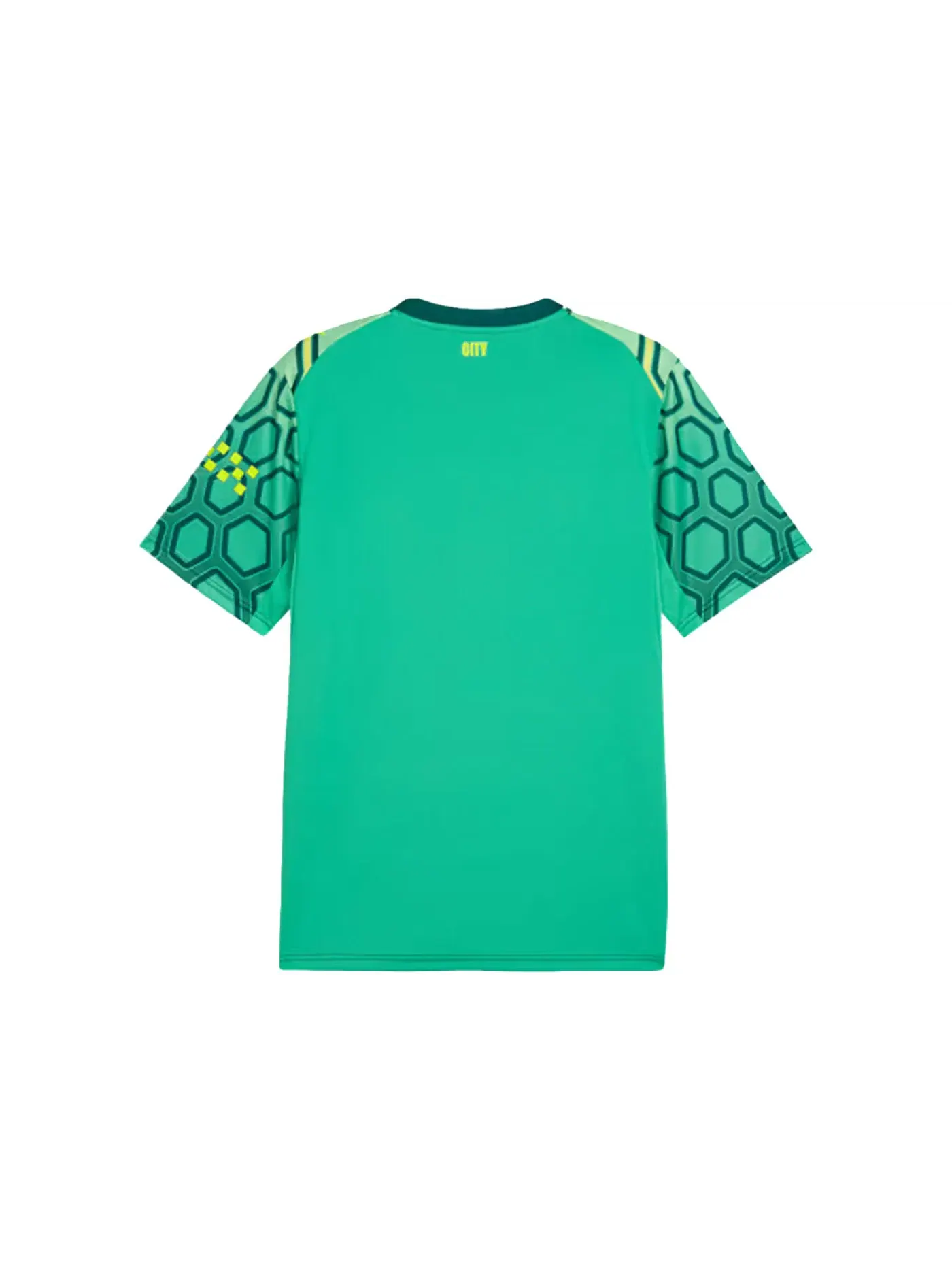 Мужская футболка с длинным рукавом Puma Manchester City 26/27 Home Goalkeeper Jersey — изображение 2 из 2, зеленый/зеленый