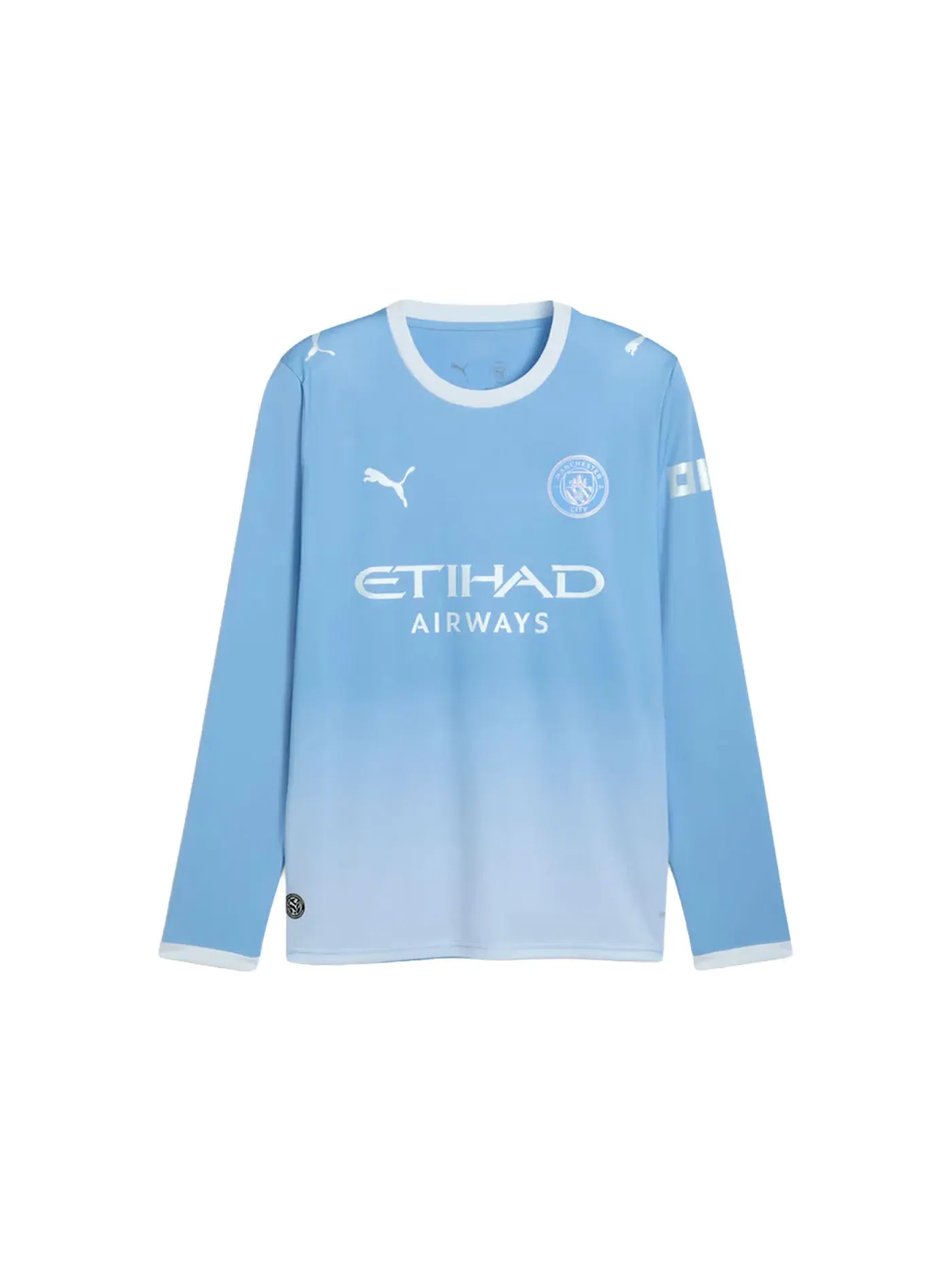 Мужская футболка с длинным рукавом Jersey Puma — изображение 1 из 2