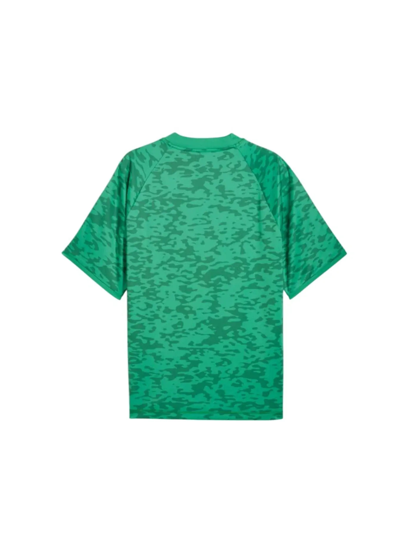 Мужская футбольная футболка Puma x Morocco x Salehe Bembury Jersey, Jade Frost — изображение 2 из 2