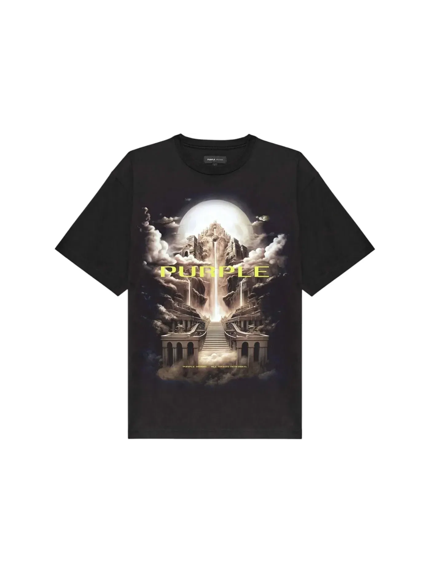Мужская футболка с коротким рукавом Purple Brand Tee — изображение 1 из 1, черный