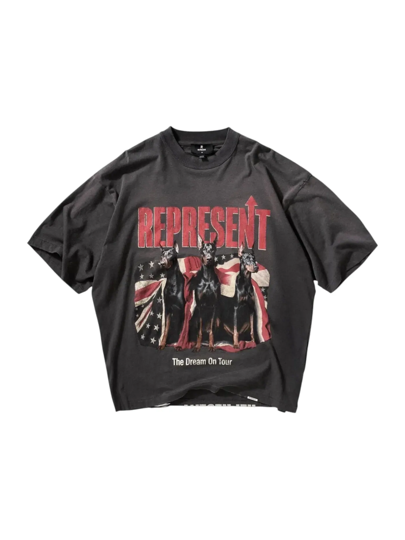Мужская футболка с принтом Represent Dream On Tour — изображение 1 из 2, серый