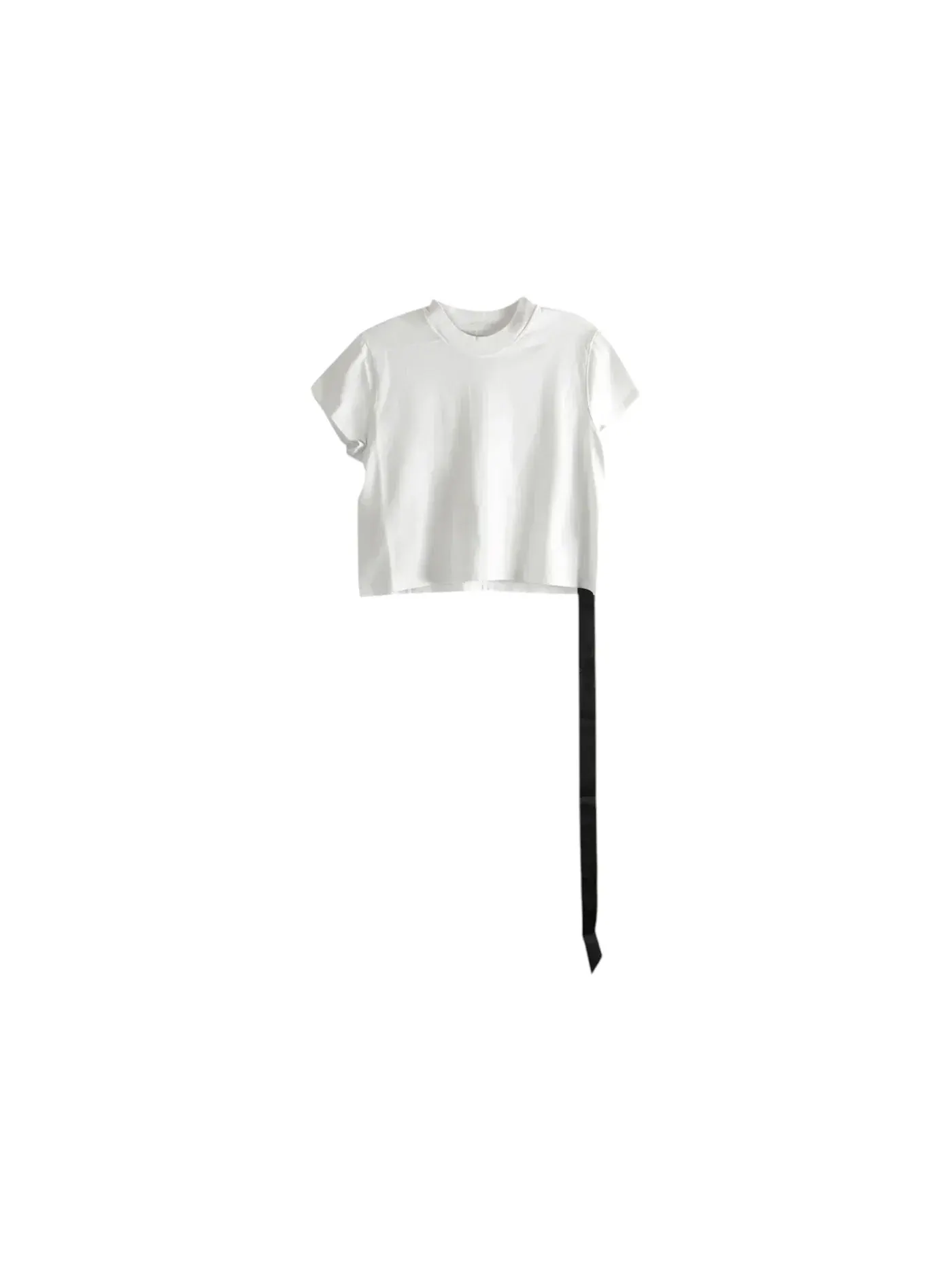 Женская футболка с укороченным кроем Drkshdw Cropped Small Level T-Shirt Rick Owens, Ilk Wash — изображение 1 из 1
