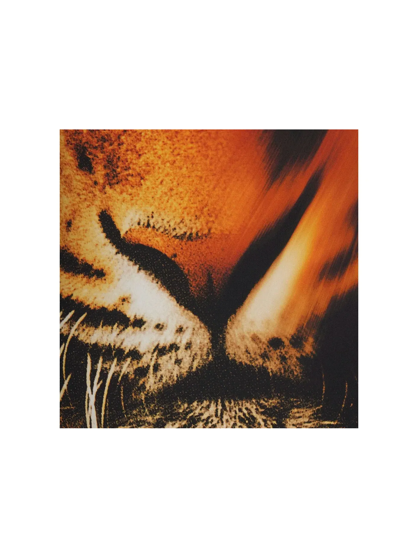 Женский купальник слитный с завязкой на талии с принтом Tiger Face Print SKIMS, Tiger Face Print — изображение 2 из 2