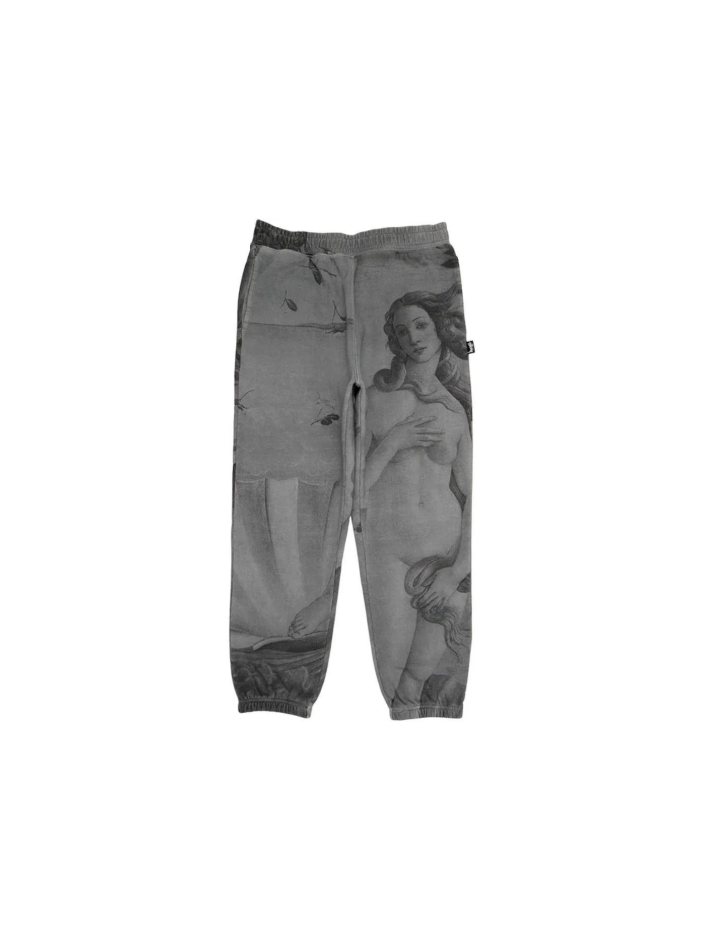 Мужские спортивные штаны с принтом Sweatpant Stussy — изображение 1 из 2, черный