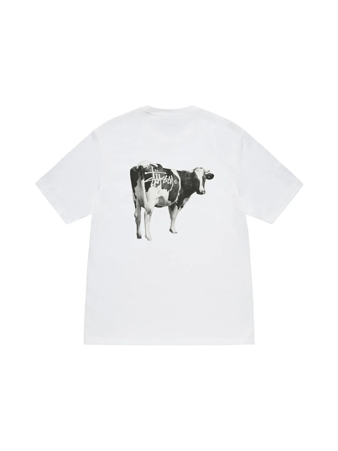 Мужская футболка с принтом Stussy T-shirt — изображение 1 из 2, белый