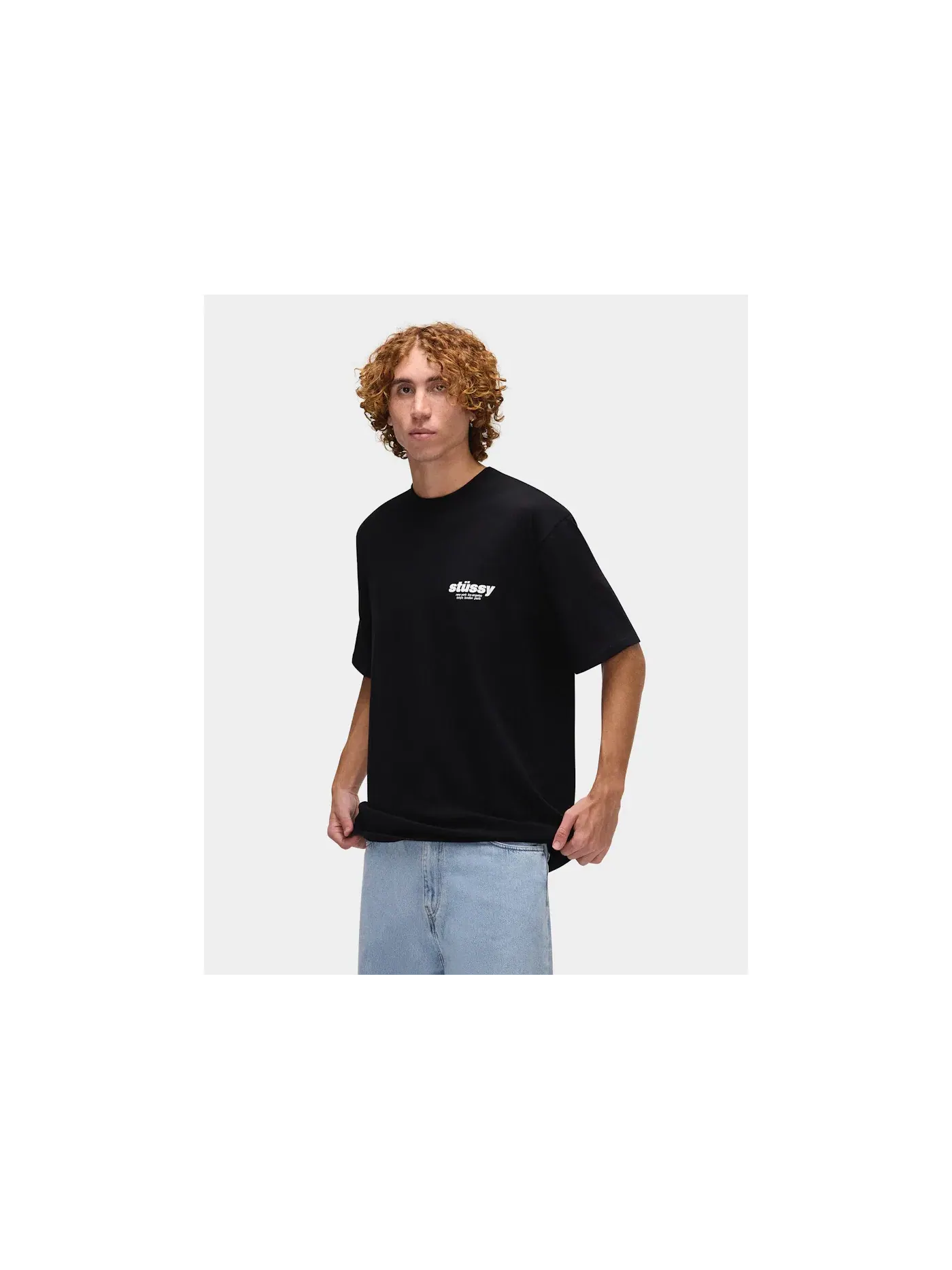 Мужская футболка с принтом Tee Stussy — изображение 4 из 6, черный
