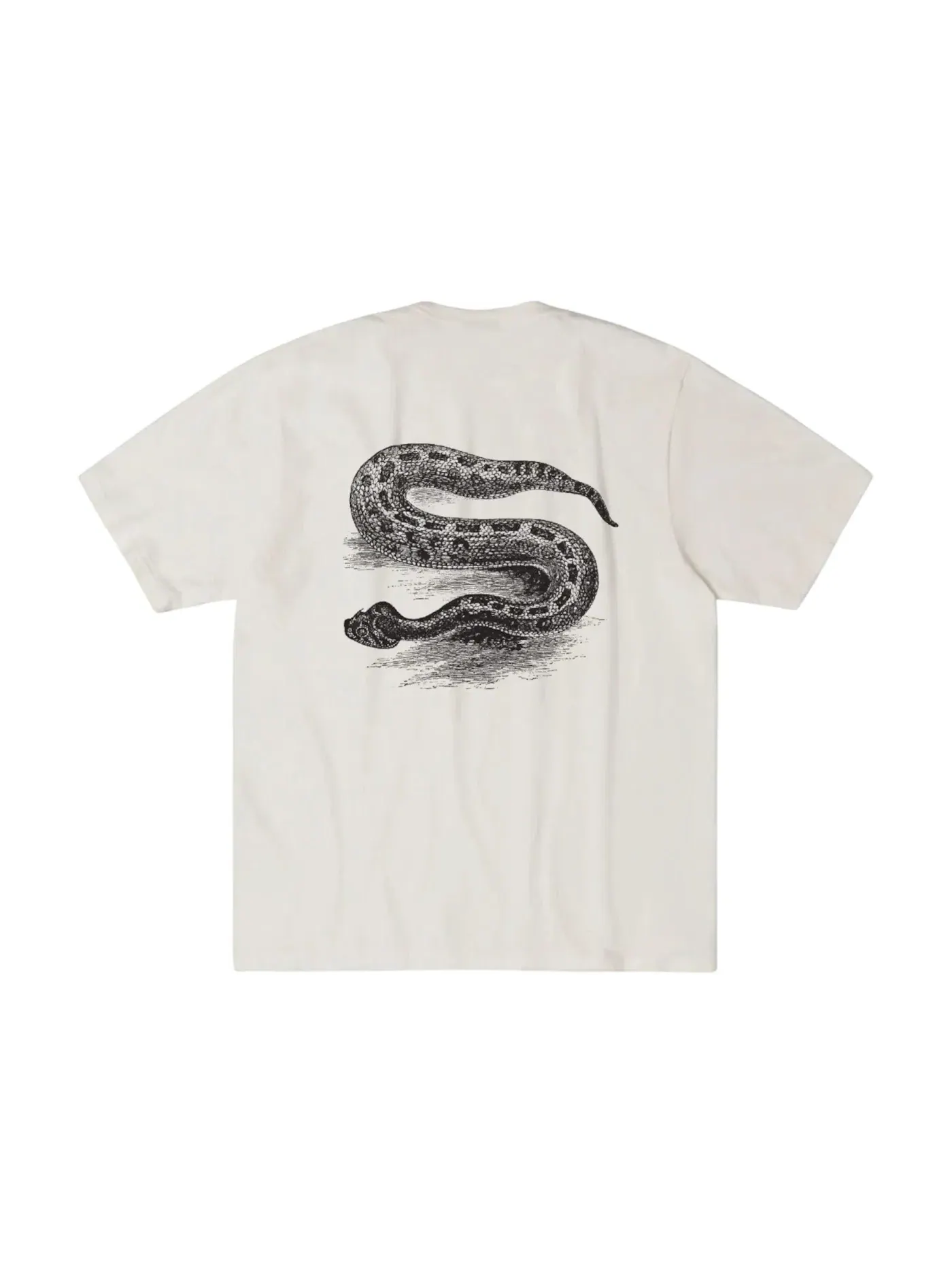 Мужская футболка с принтом Serpent Stussy — изображение 1 из 2, прозрачный