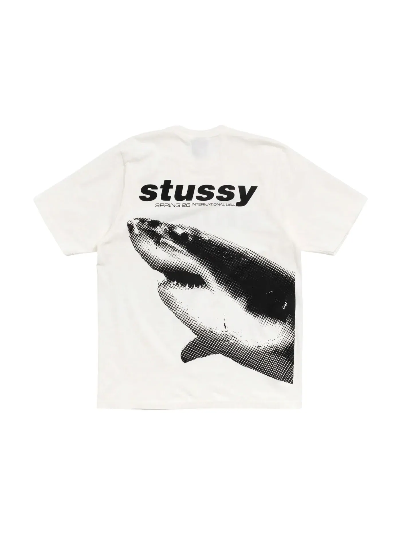 Мужская футболка с принтом Stussy — изображение 2 из 2, прозрачный