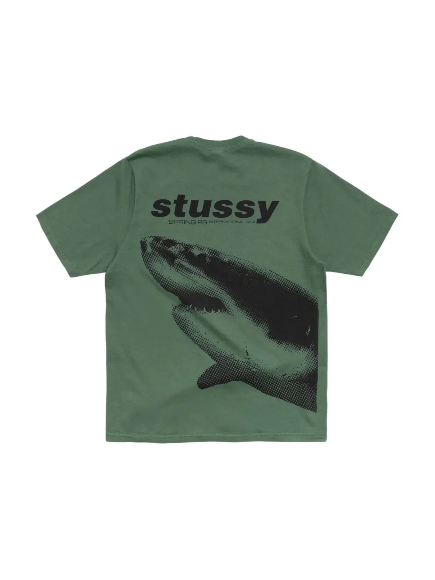 Мужская футболка с принтом Tee Stussy — изображение 2 из 2, папоротник