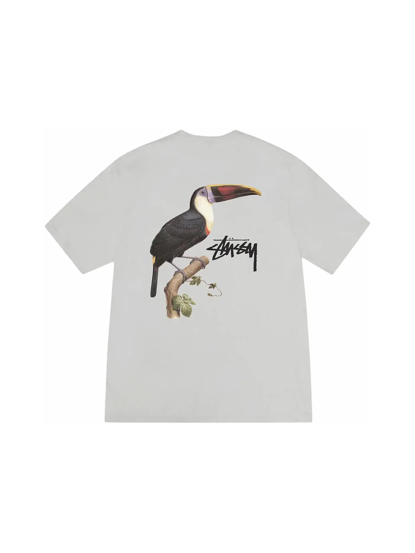Мужская футболка с принтом Tee Stussy — изображение 1 из 2, туманный