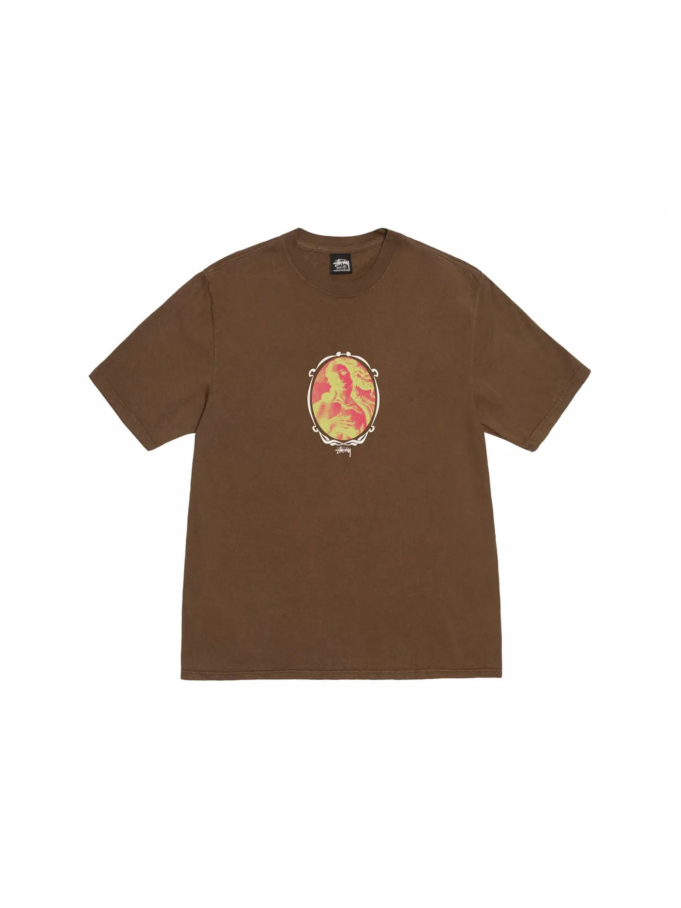Мужская футболка с пигментным окрашиванием Tee Stussy — изображение 1 из 2, коричневый